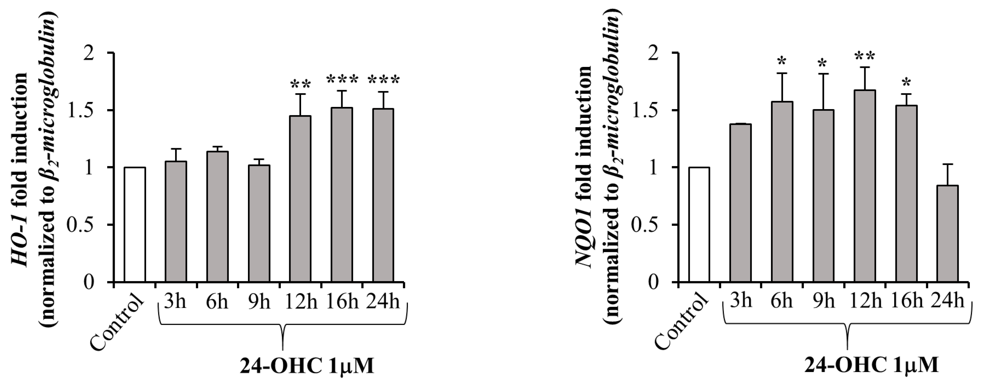 Antioxidants 12 00631 g004 Antioxidants 12 00631 g004