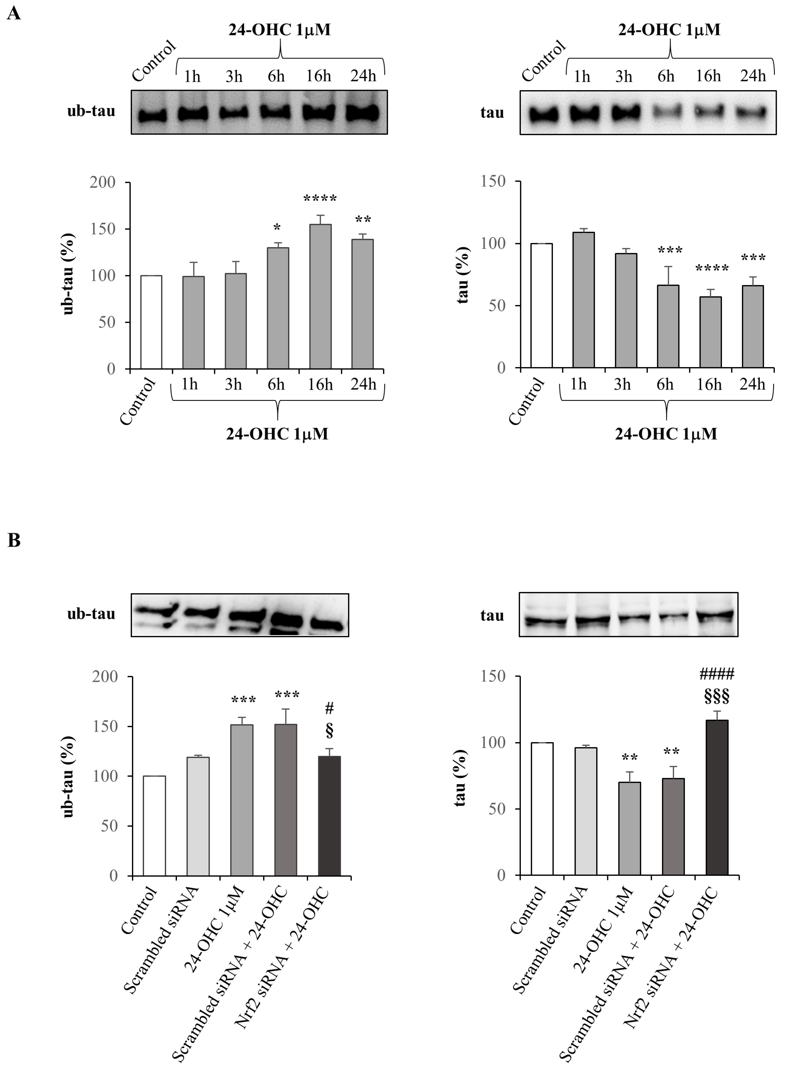 Antioxidants 12 00631 g005 Antioxidants 12 00631 g005