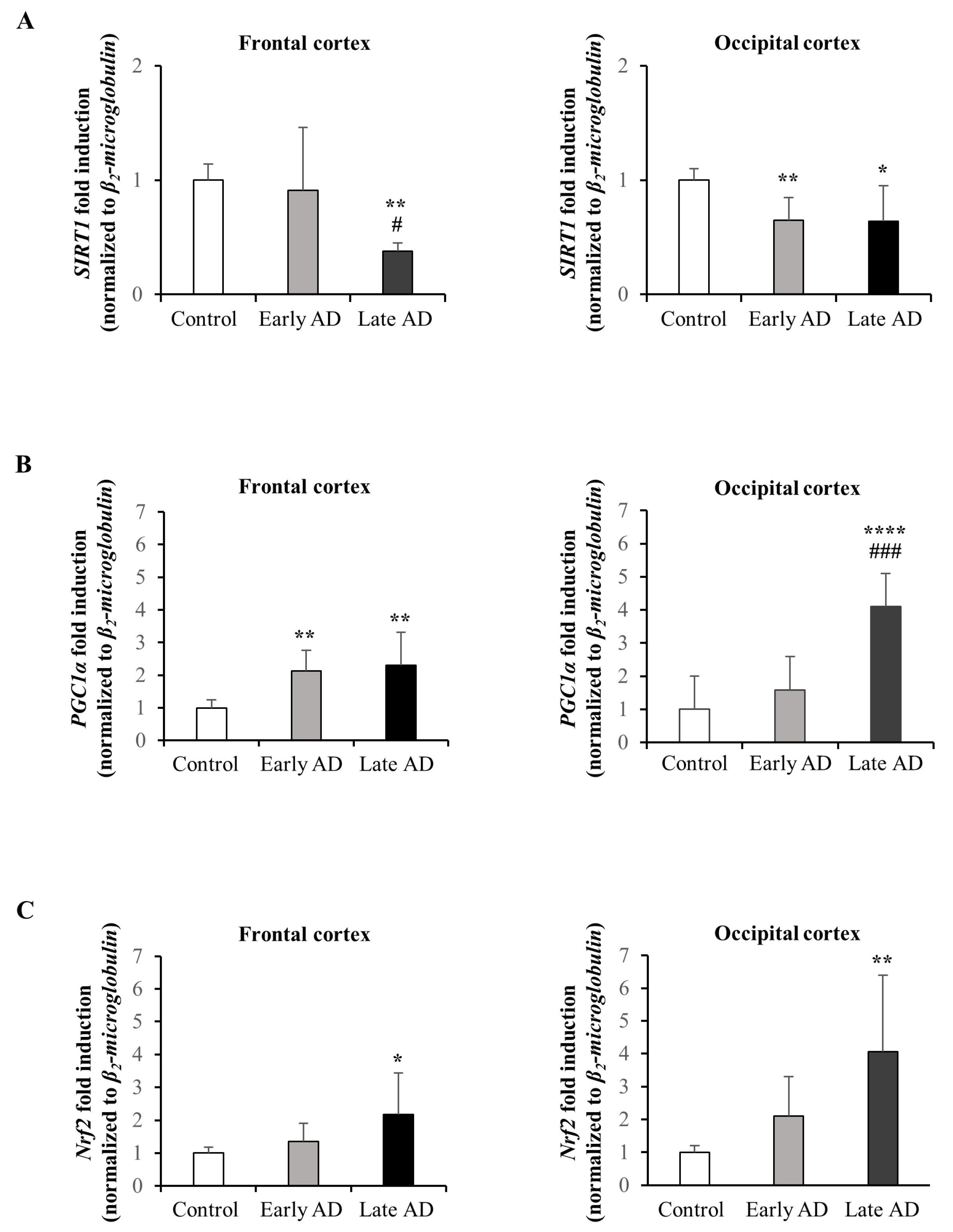 Antioxidants 12 00631 g007 Antioxidants 12 00631 g007