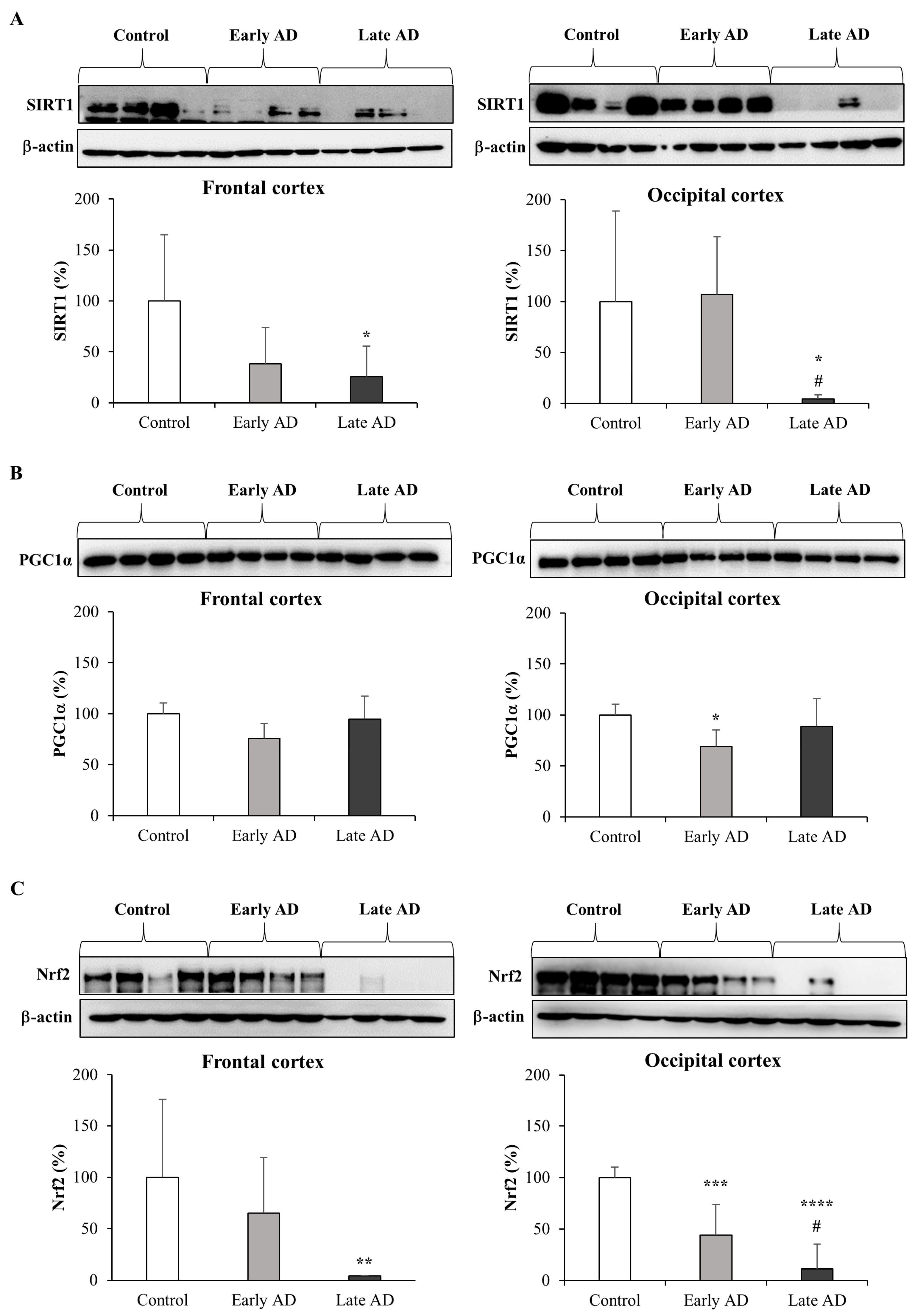 Antioxidants 12 00631 g008 Antioxidants 12 00631 g008