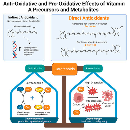 Antioxidants | Free Full-Text | Antioxidant and Anti-Tumor Effects of