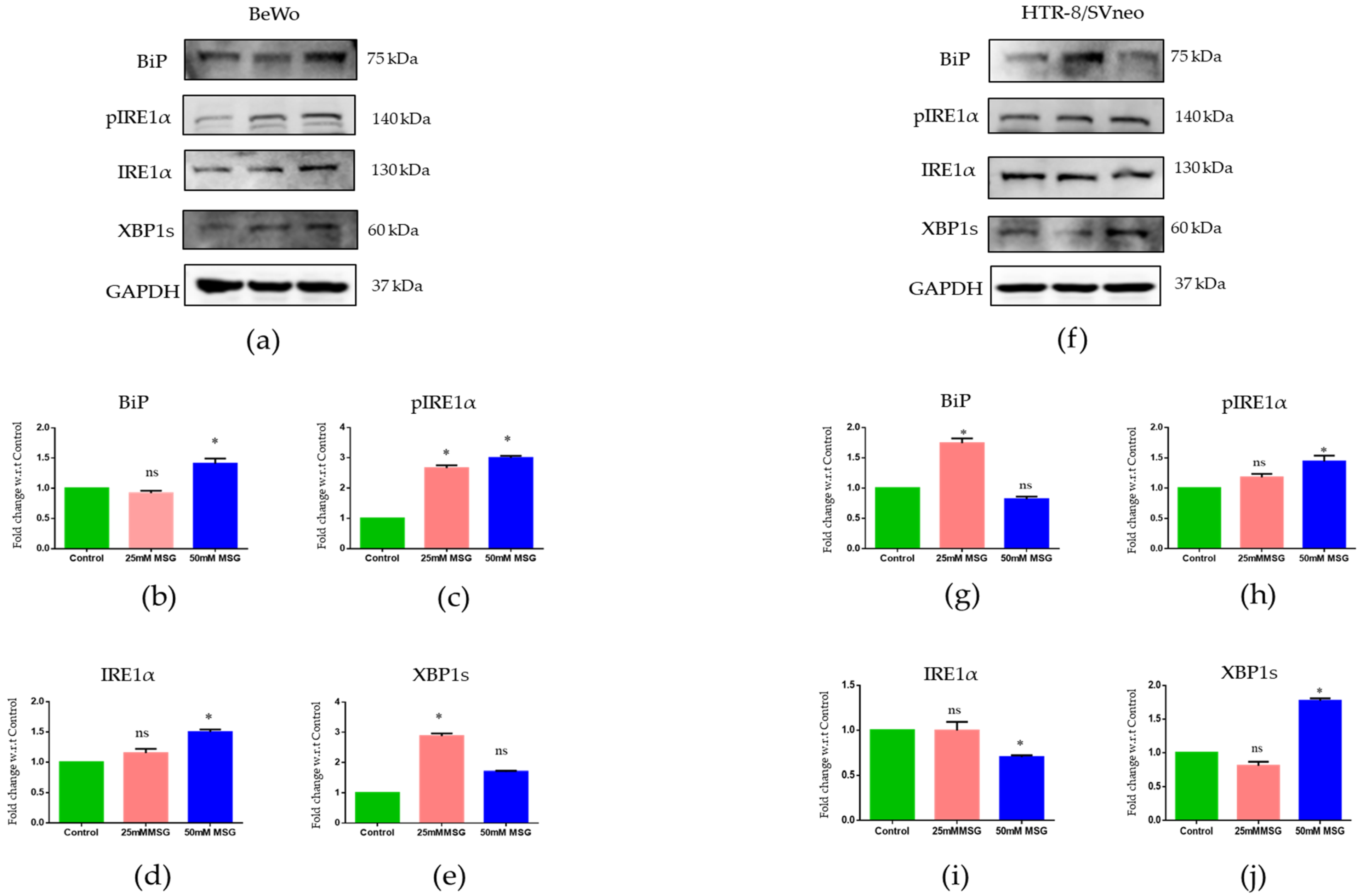 Antioxidants 12 00634 g011