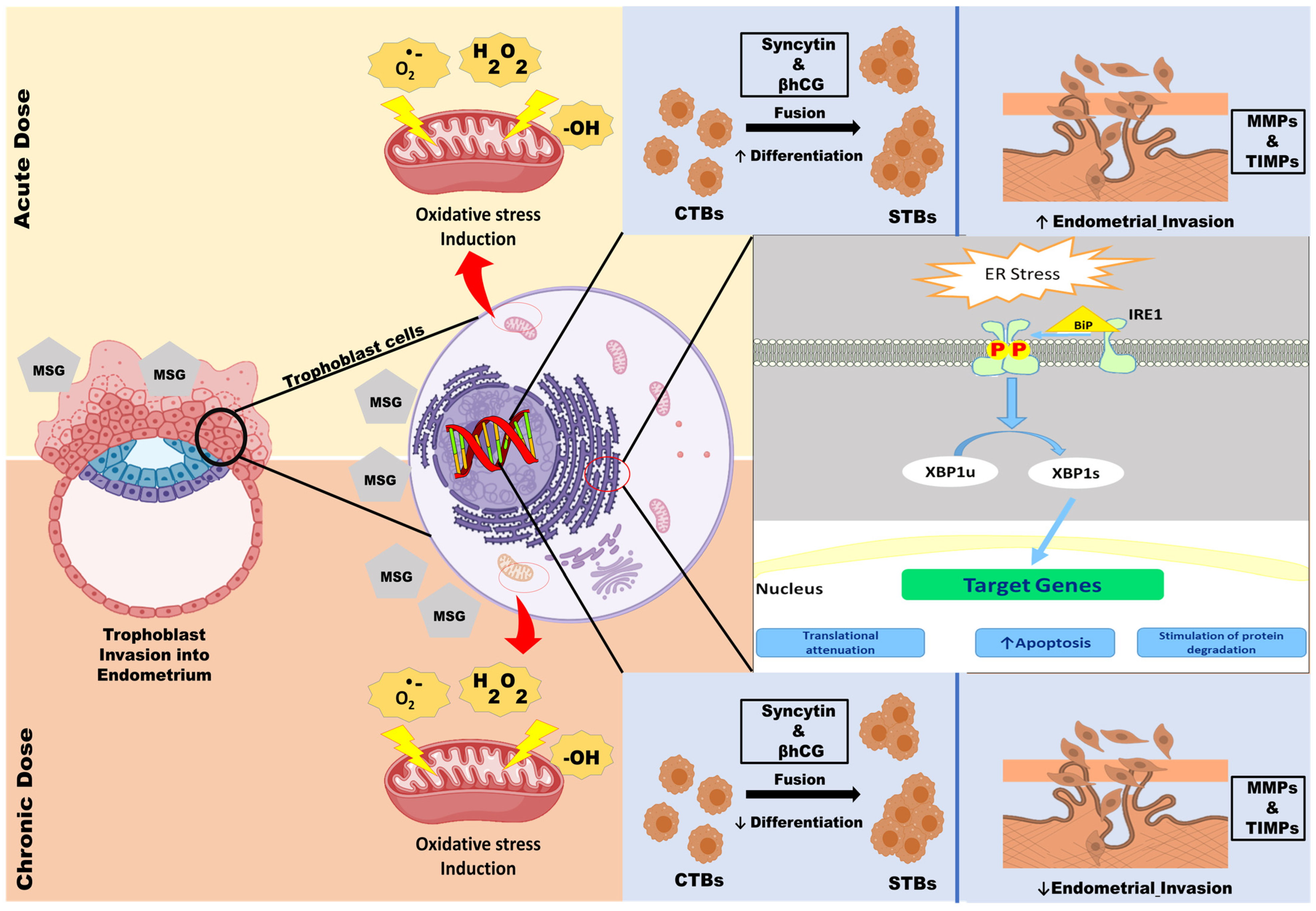 Antioxidants 12 00634 g012