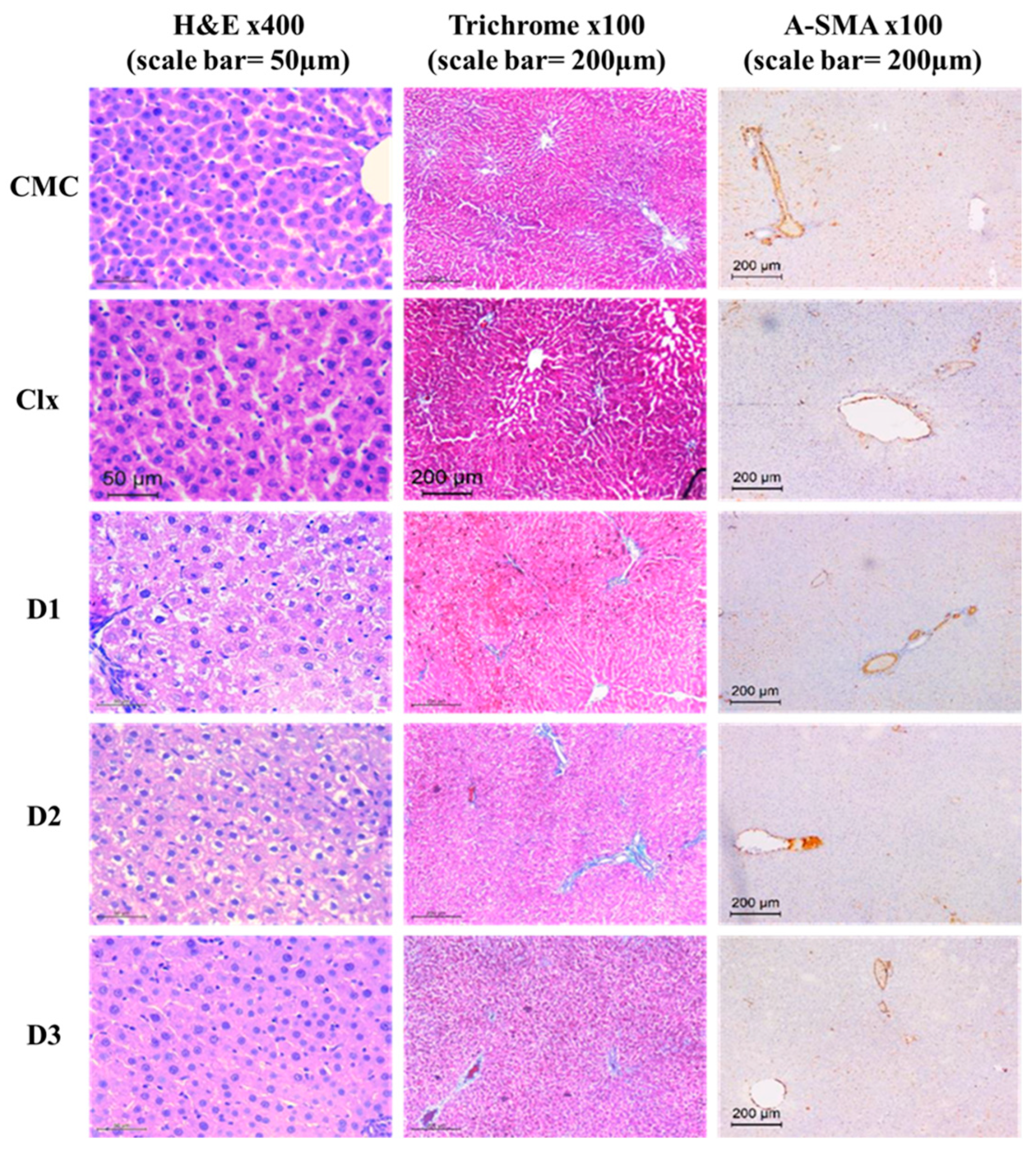Antioxidants 12 00637 g002 Antioxidants 12 00637 g002