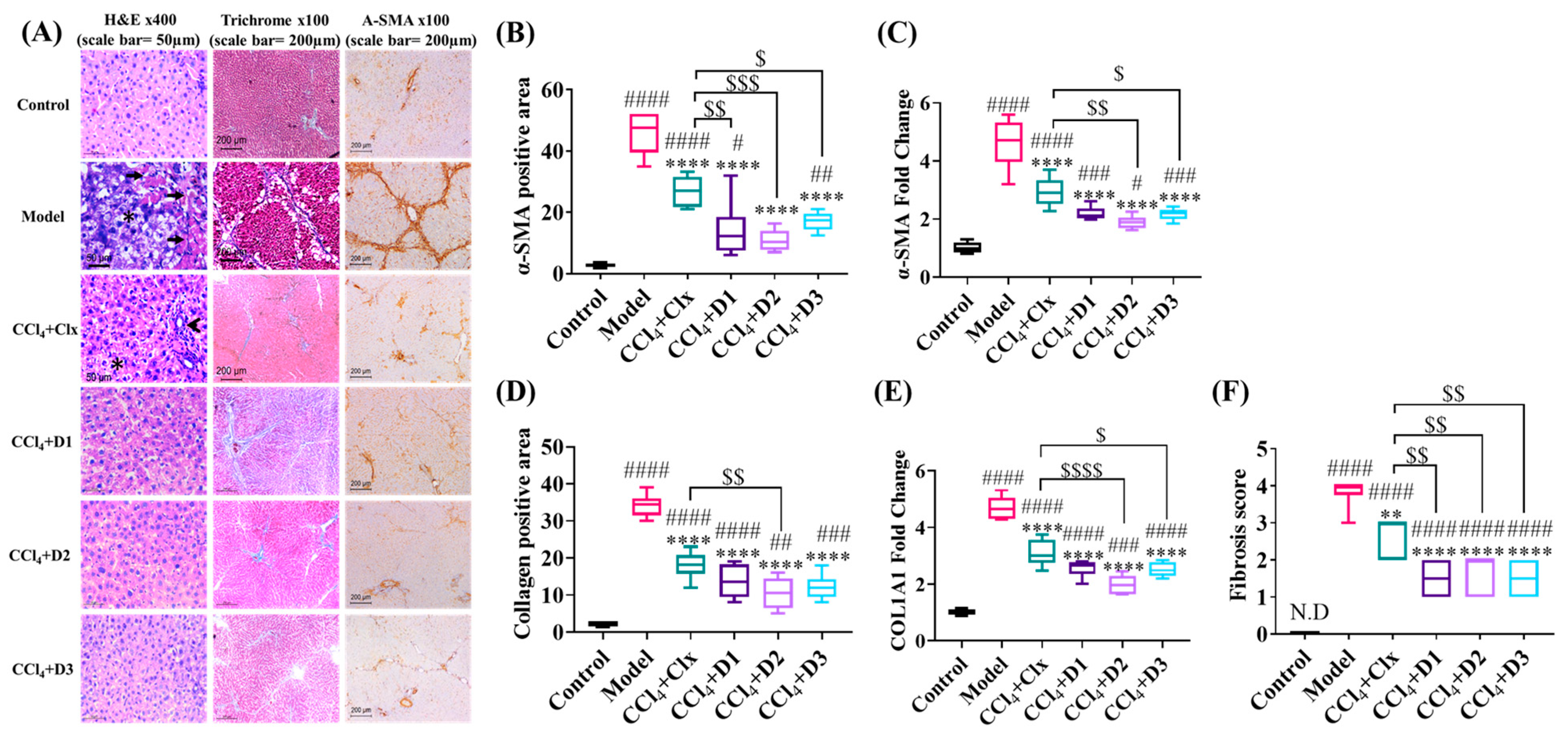 Antioxidants 12 00637 g003 Antioxidants 12 00637 g003
