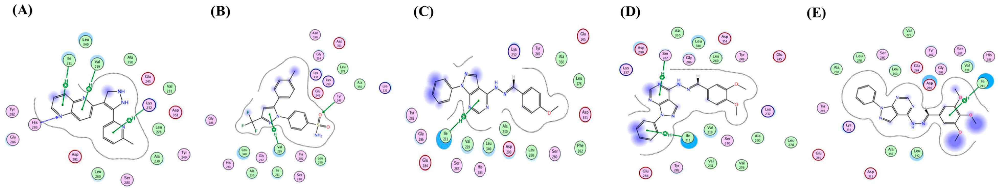 Antioxidants 12 00637 g008 Antioxidants 12 00637 g008