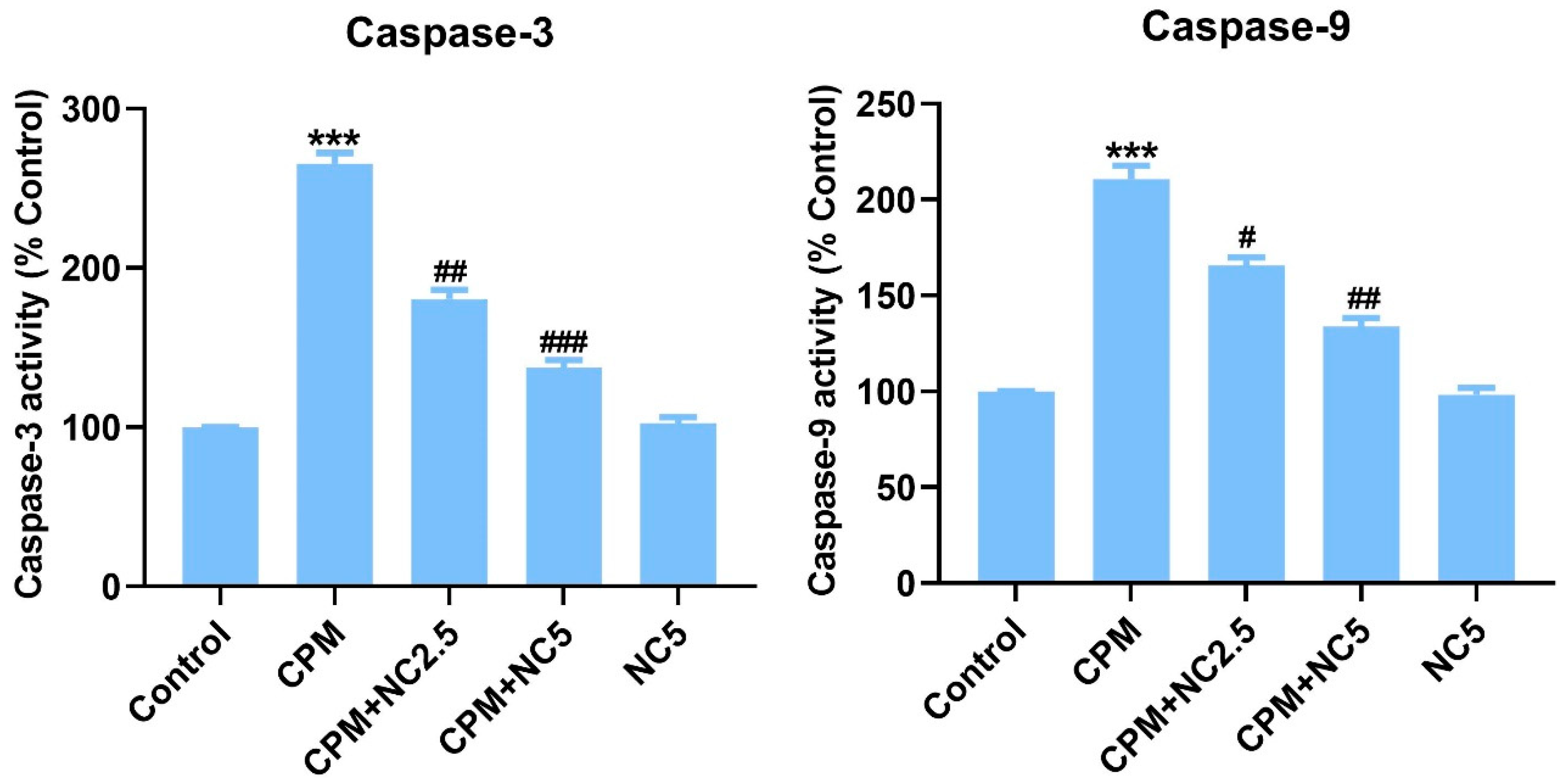 Antioxidants 12 00644 g003 Antioxidants 12 00644 g003