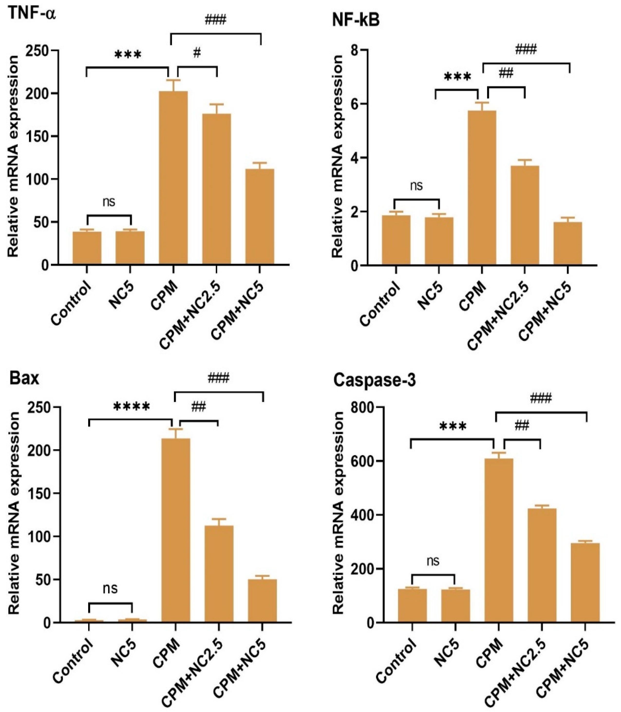 Antioxidants 12 00644 g004 Antioxidants 12 00644 g004
