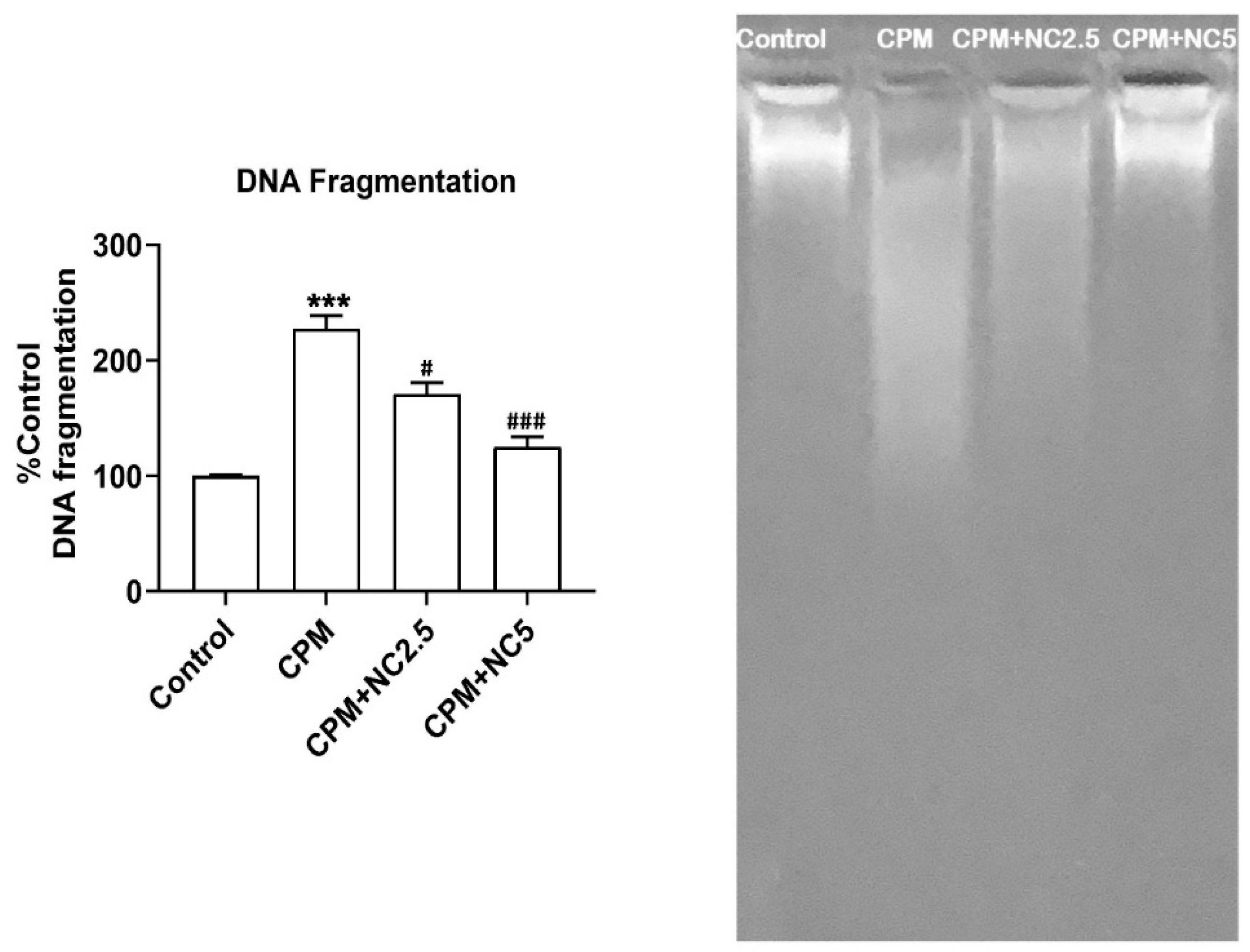Antioxidants 12 00644 g006 Antioxidants 12 00644 g006