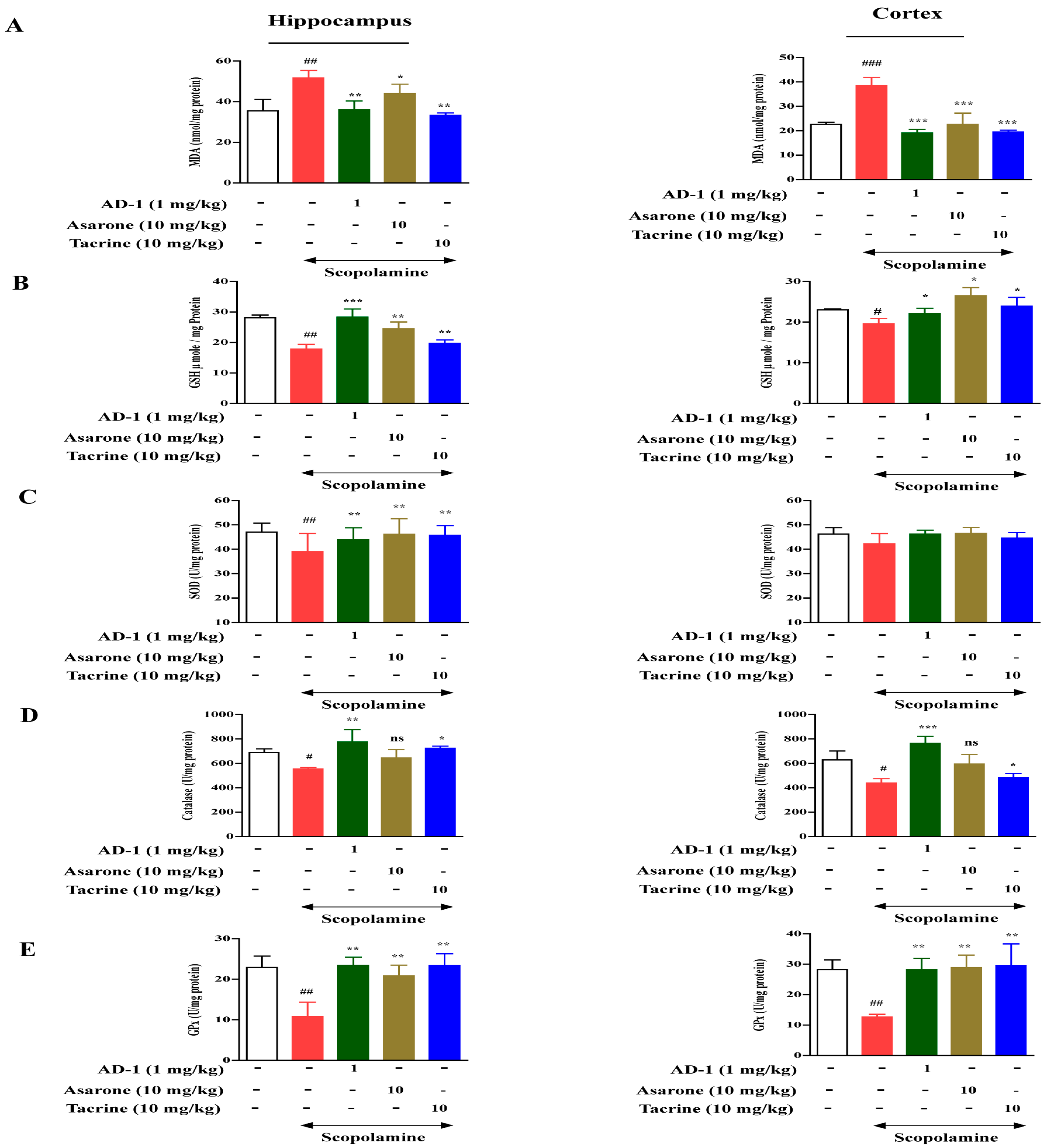 Antioxidants 12 00648 g004