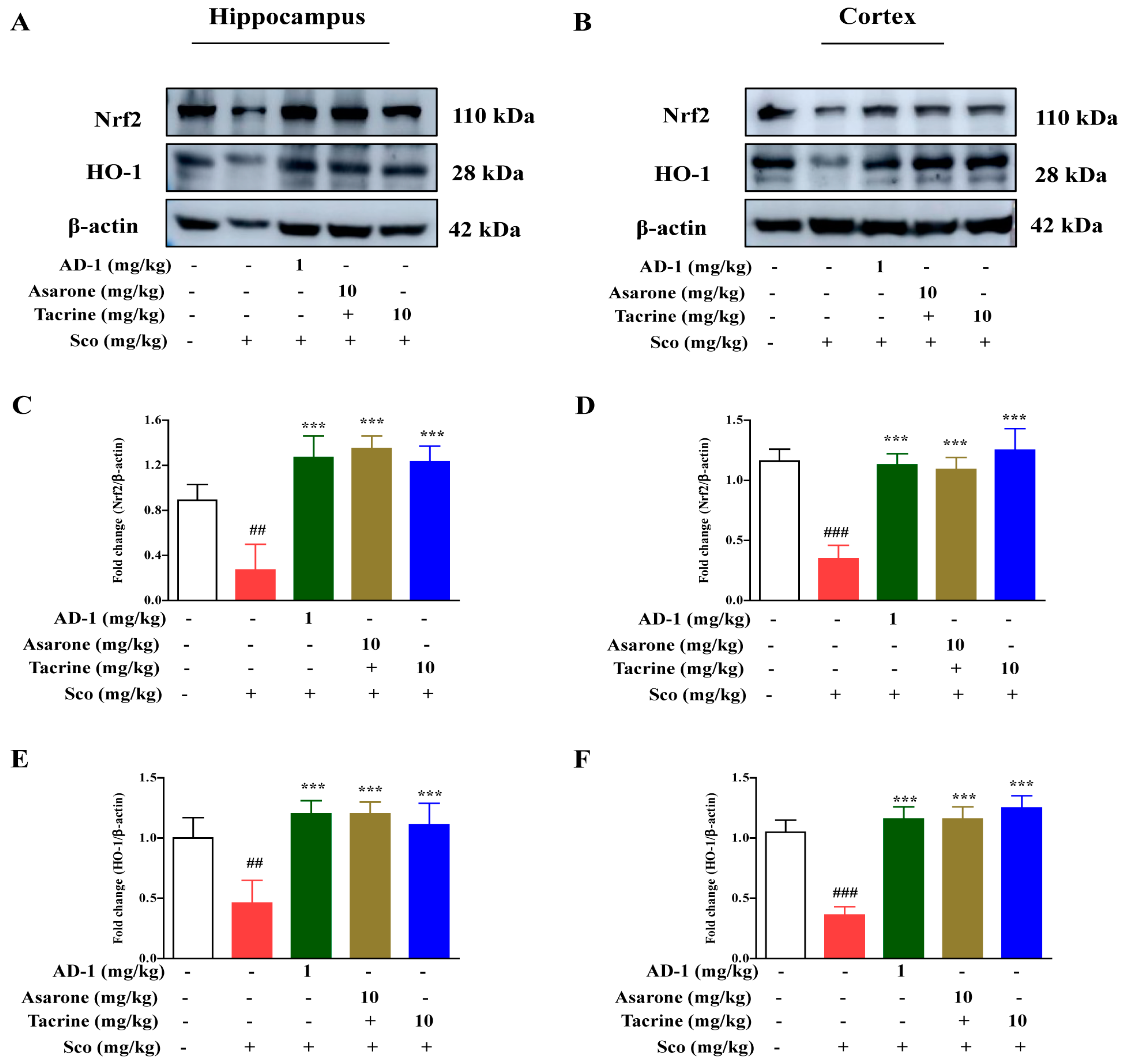 Antioxidants 12 00648 g005