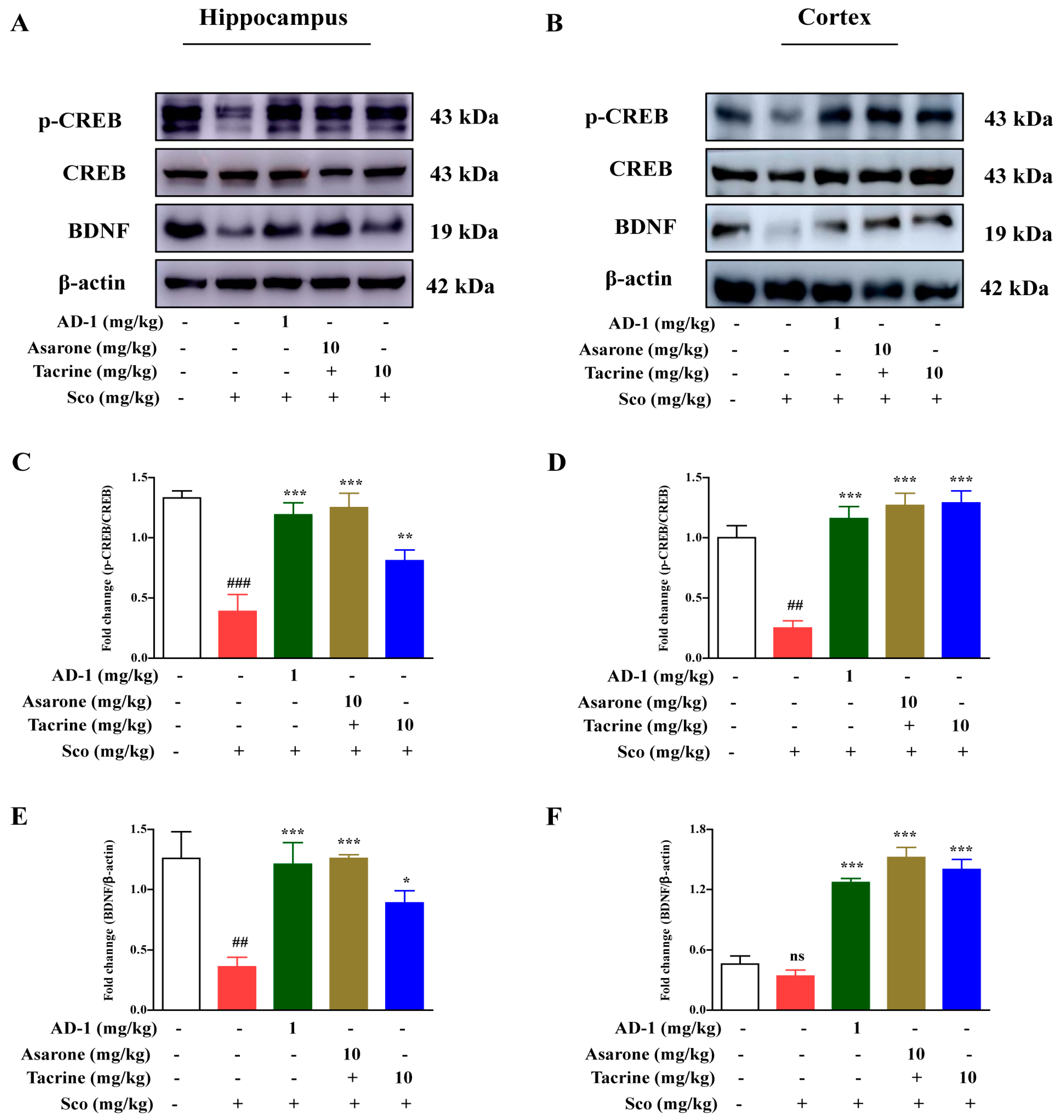 Antioxidants 12 00648 g006