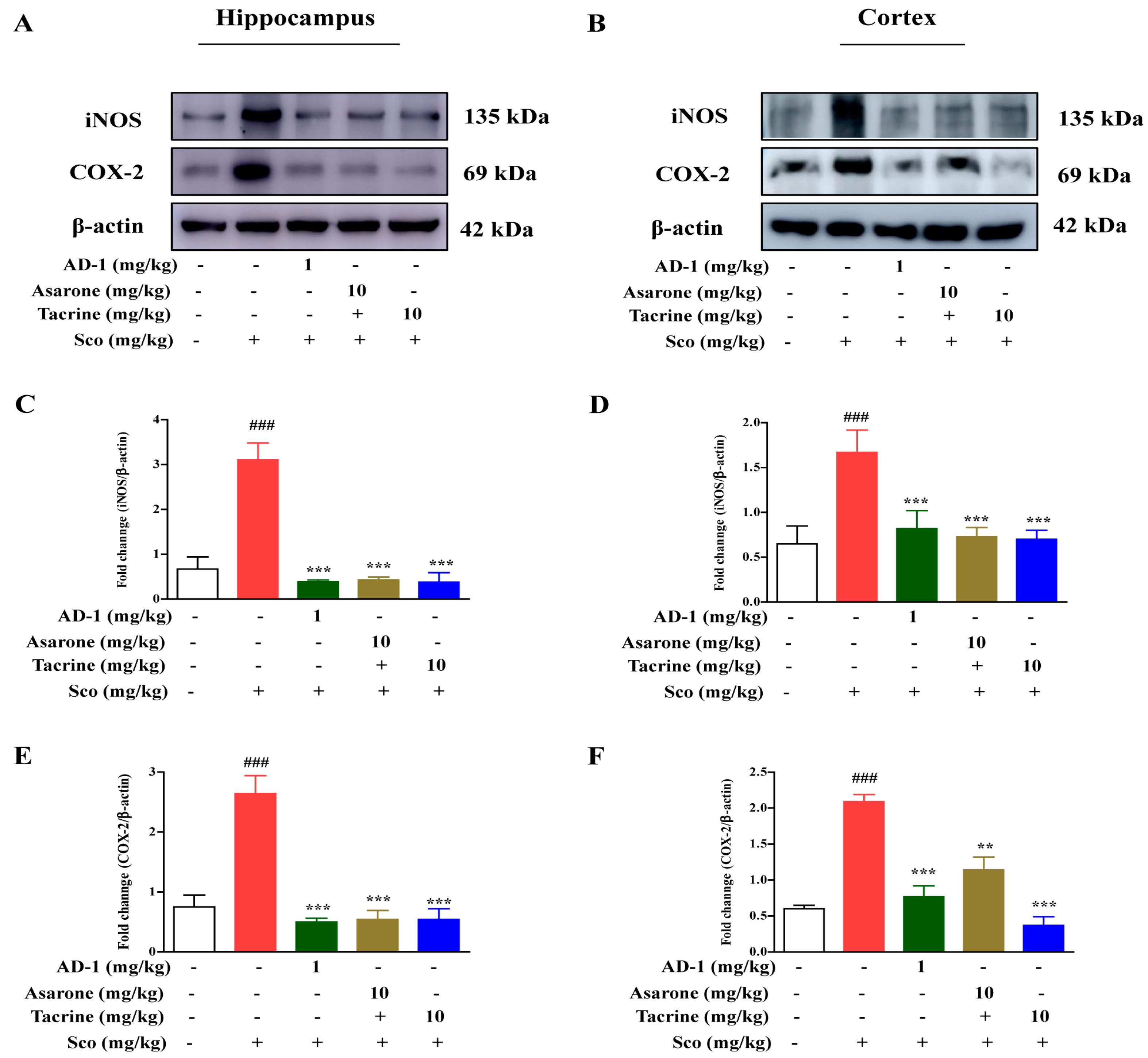 Antioxidants 12 00648 g007