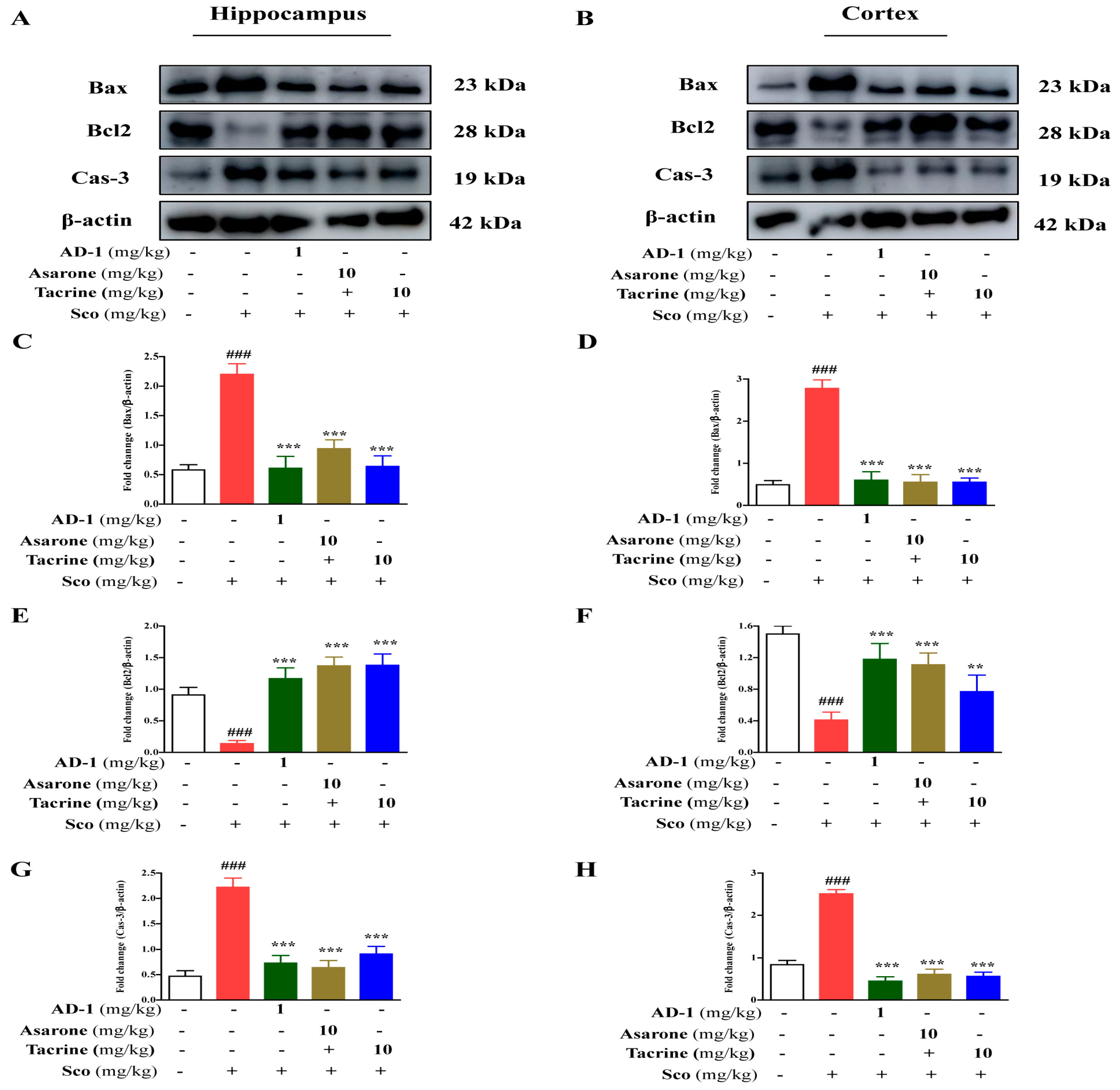 Antioxidants 12 00648 g010