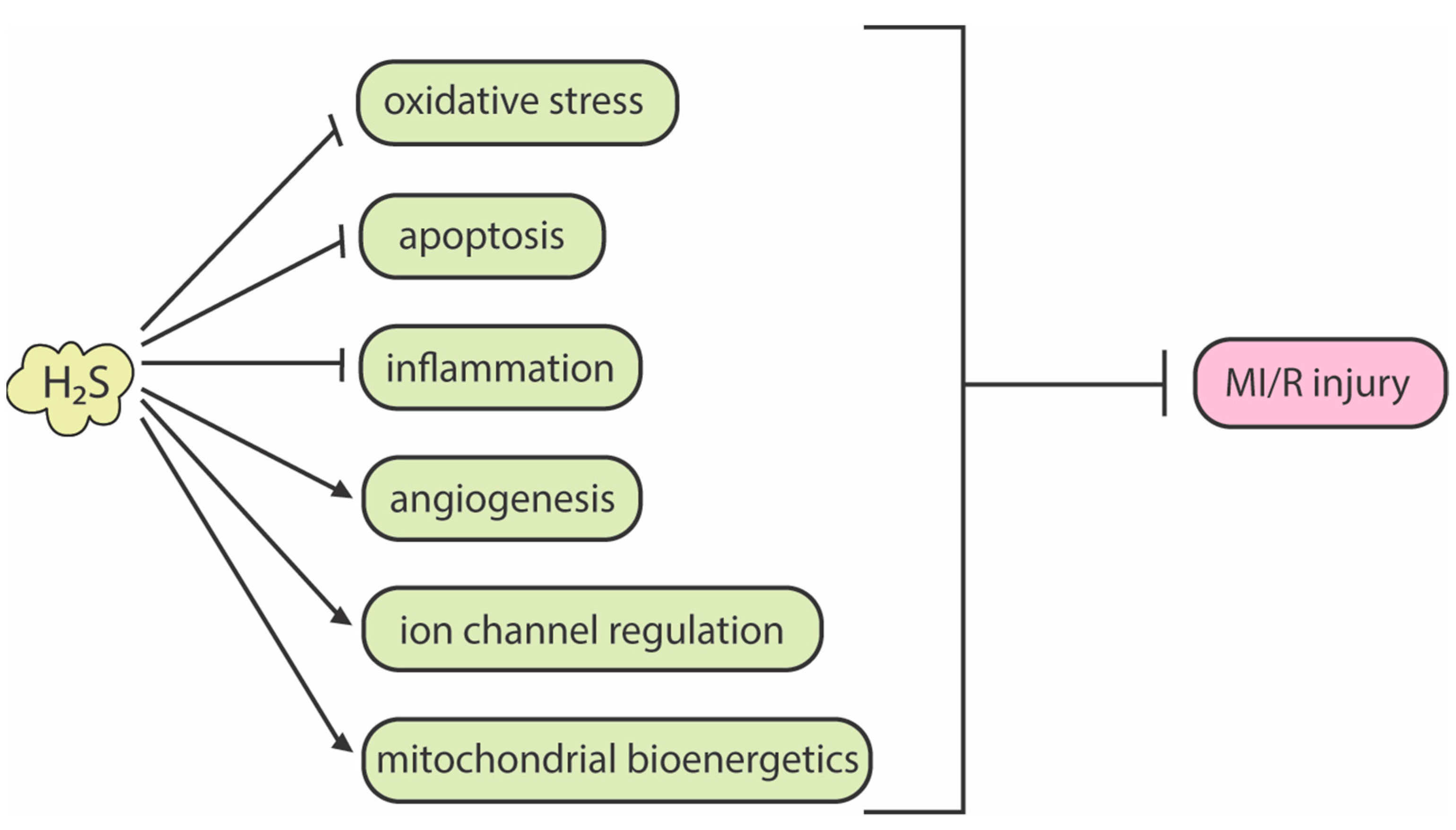 Antioxidants 12 00650 g002 Antioxidants 12 00650 g002