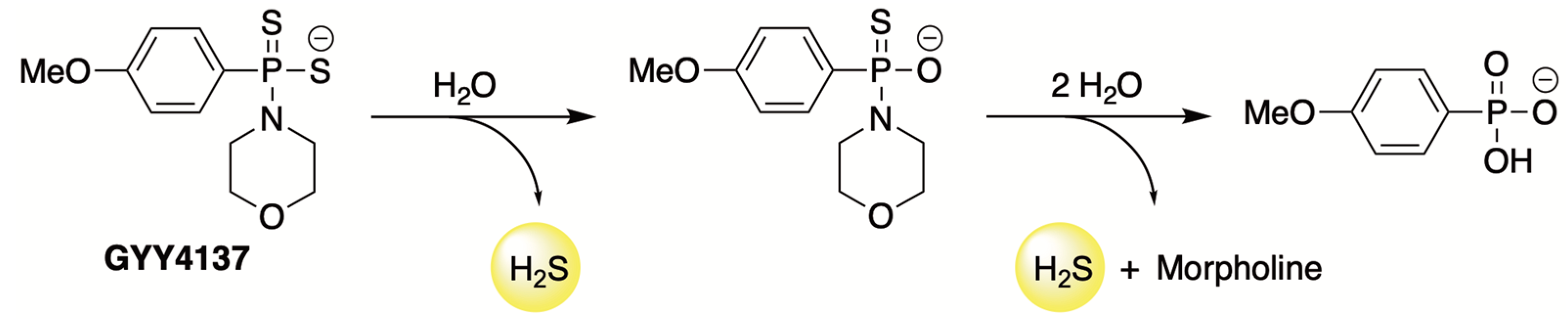 Antioxidants 12 00650 g003 Antioxidants 12 00650 g003