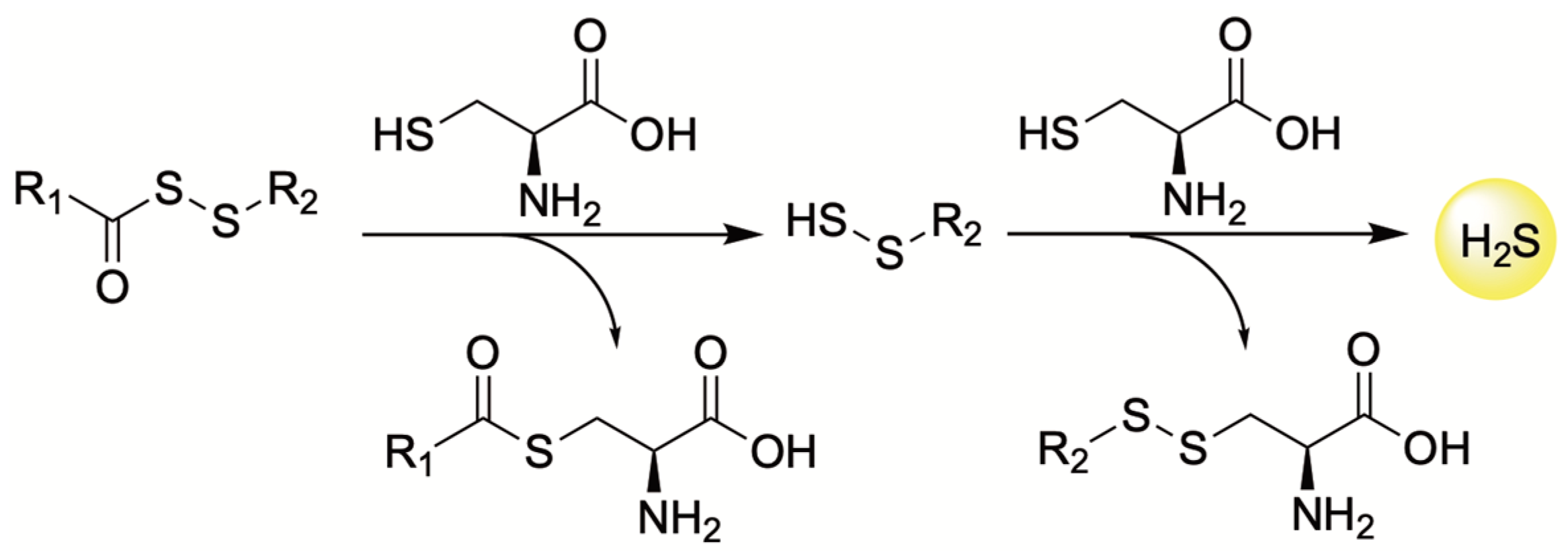 Antioxidants 12 00650 g010 Antioxidants 12 00650 g010