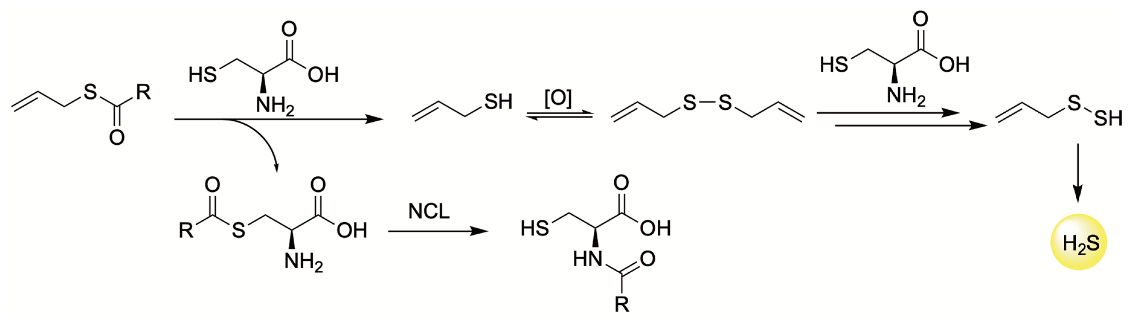 Antioxidants 12 00650 g011 Antioxidants 12 00650 g011