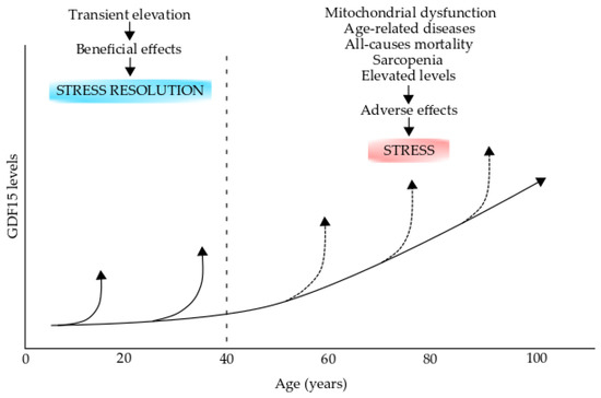 Aging Hallmarks and the Role of Oxidative Stress