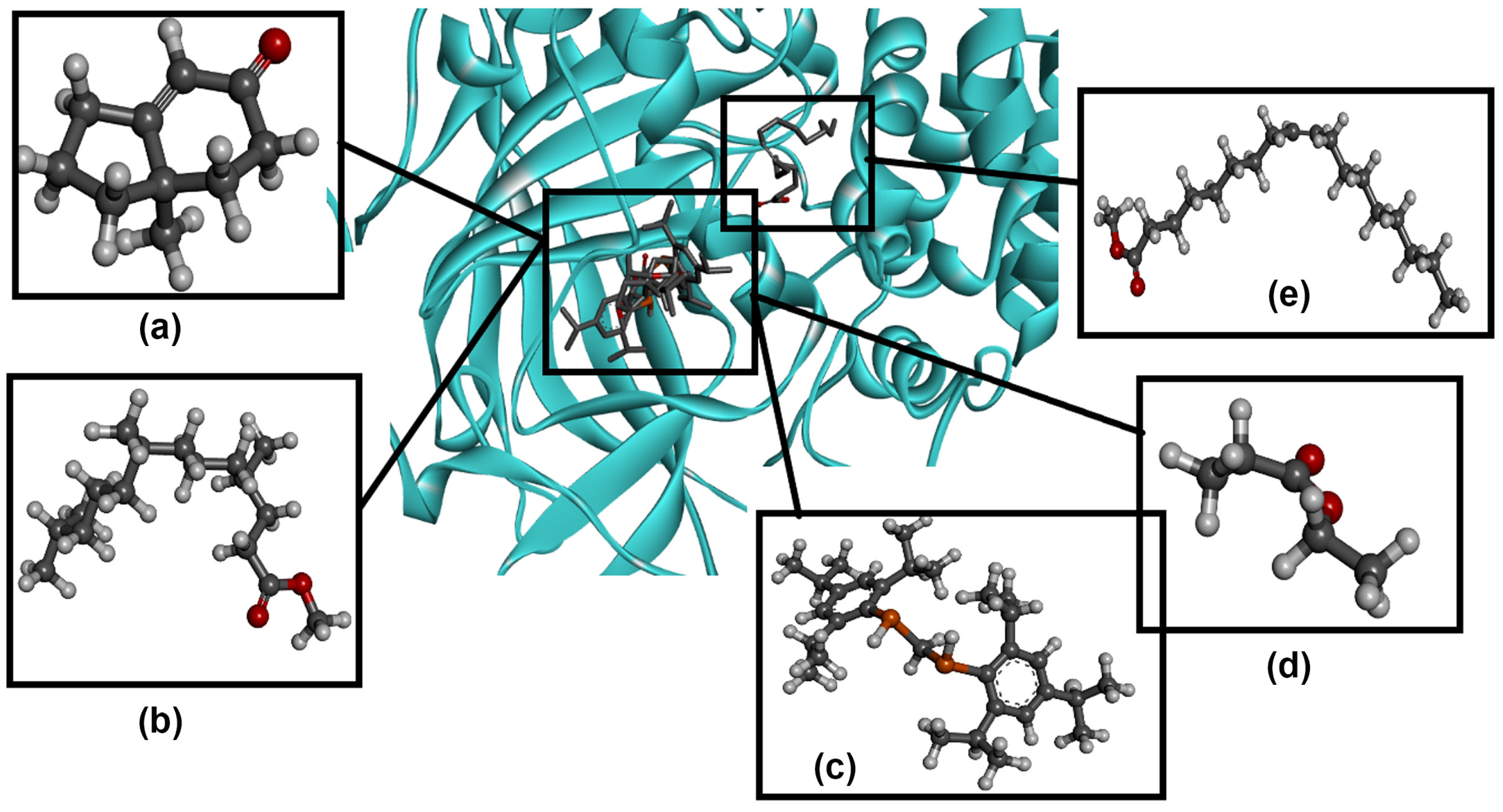 Antioxidants 12 00653 g008