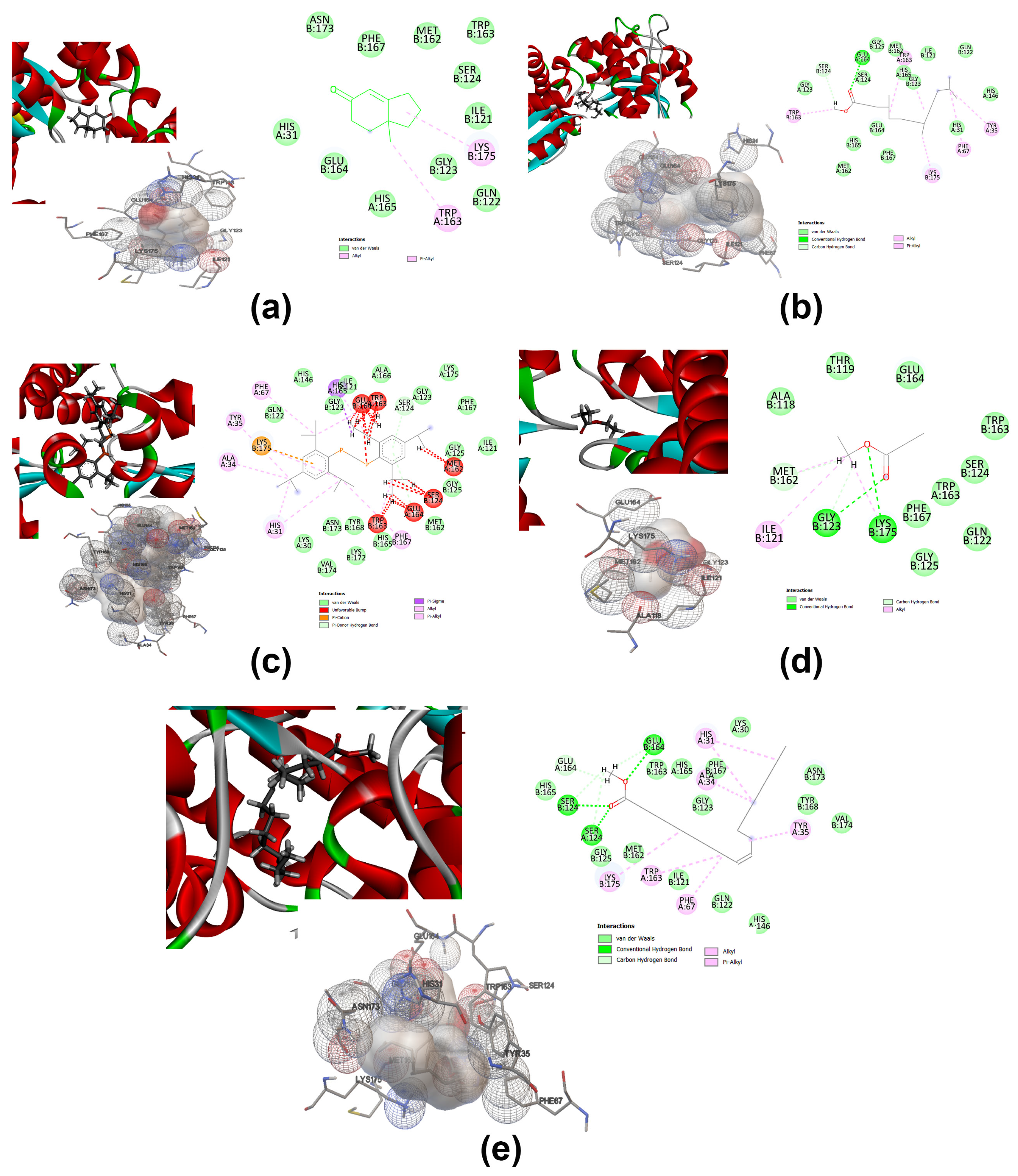 Antioxidants 12 00653 g009