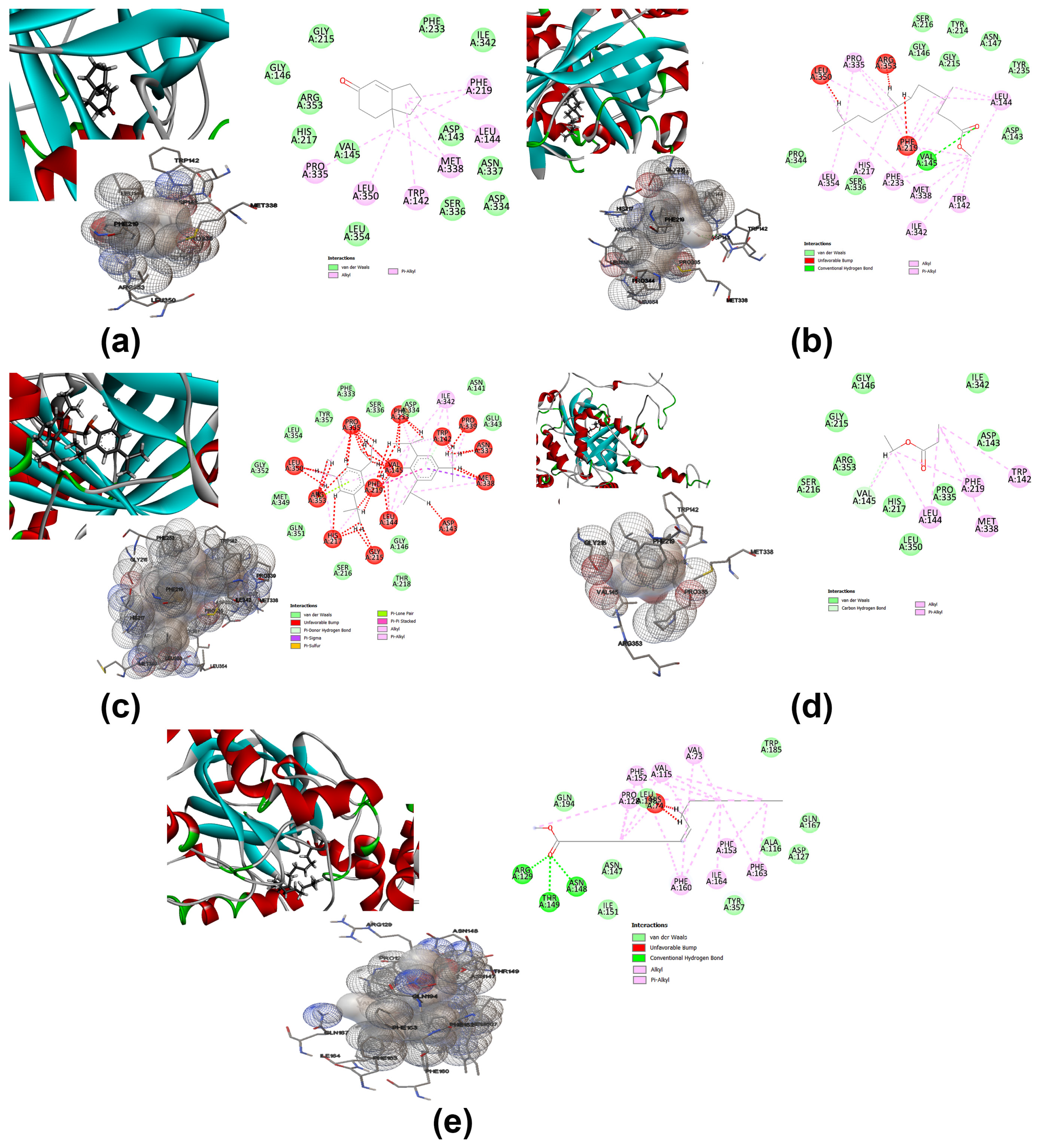Antioxidants 12 00653 g010