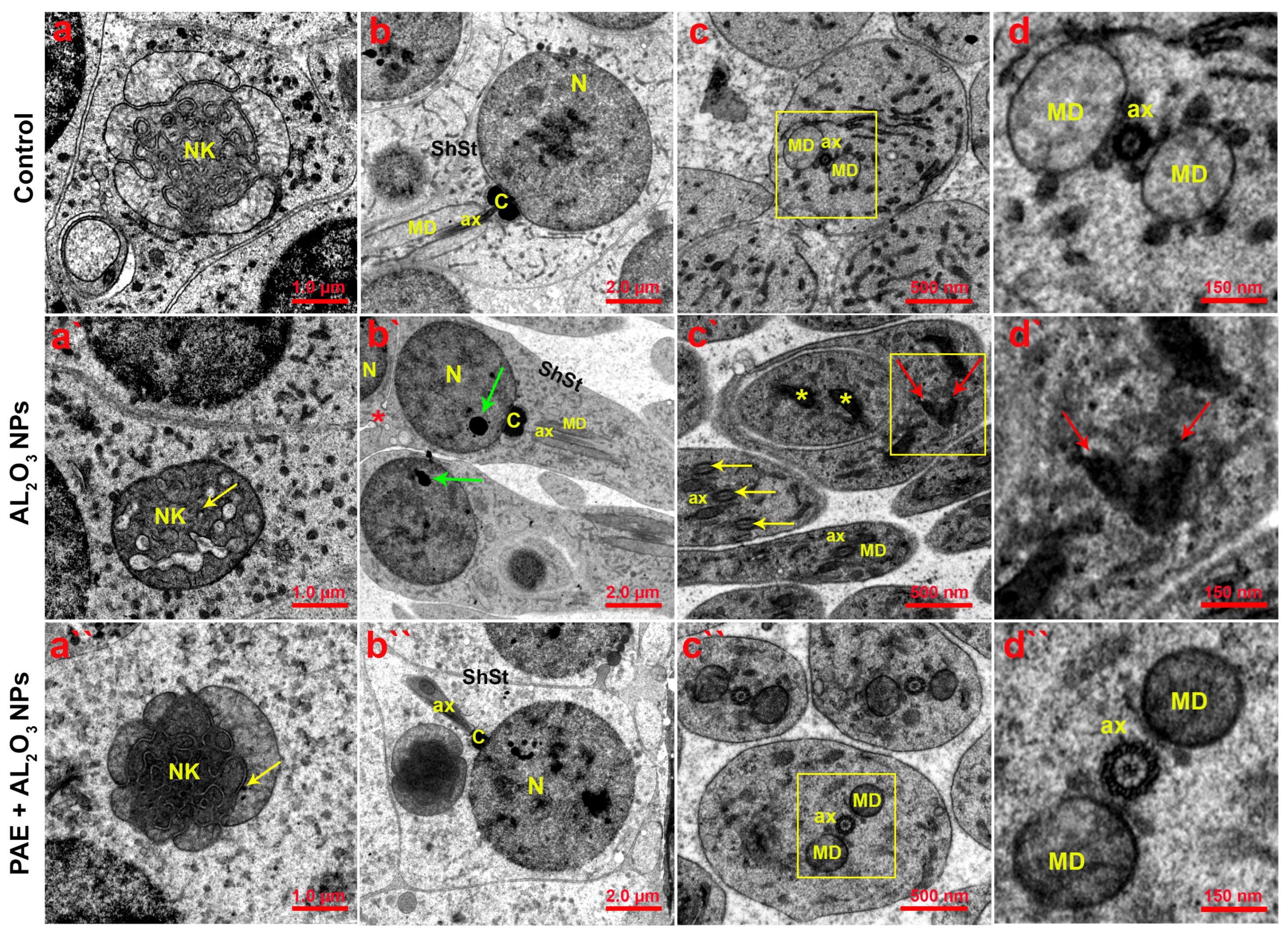 Antioxidants 12 00653 g013