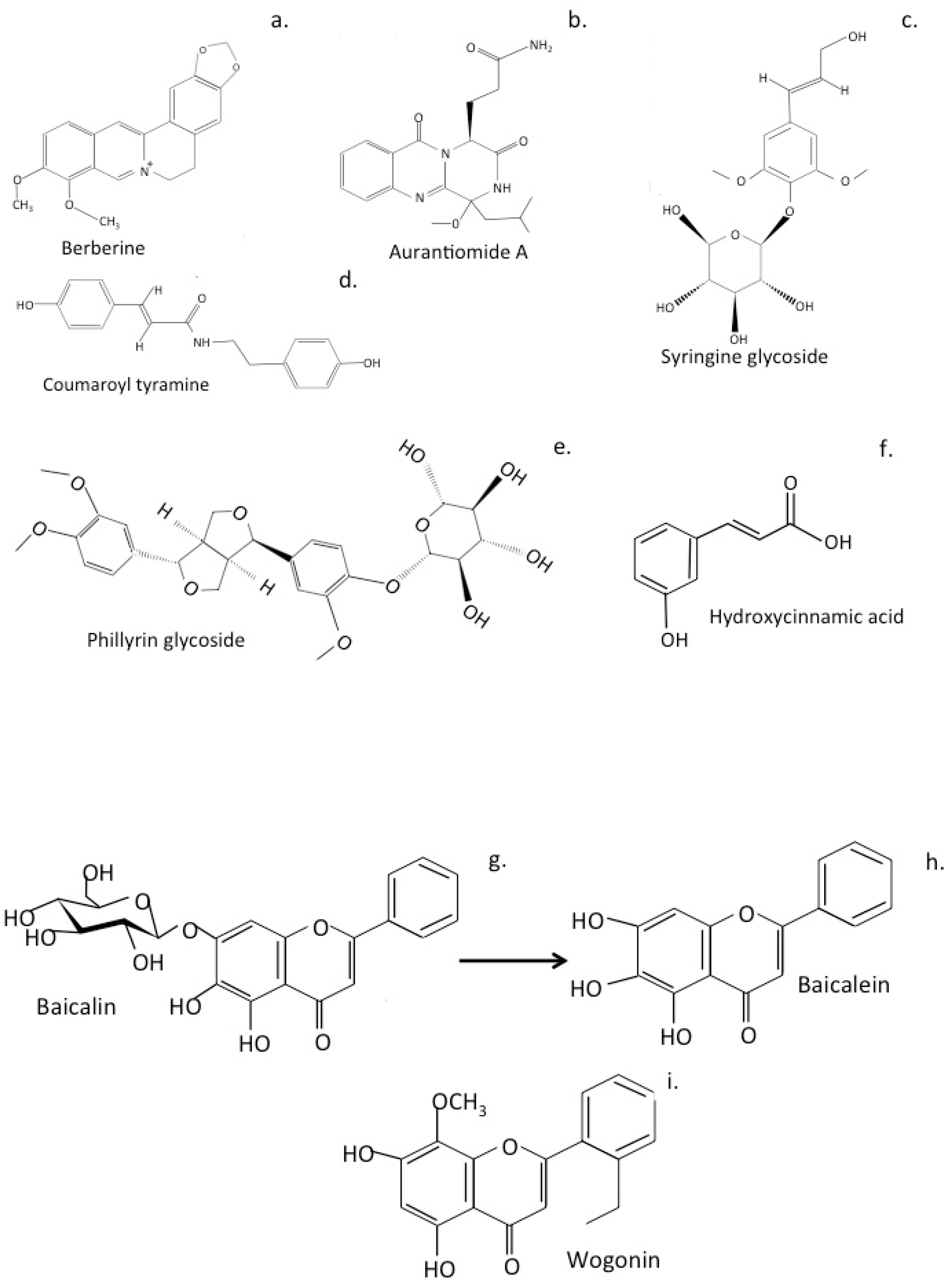Antioxidants Free FullText The Potential of Flavonoids and