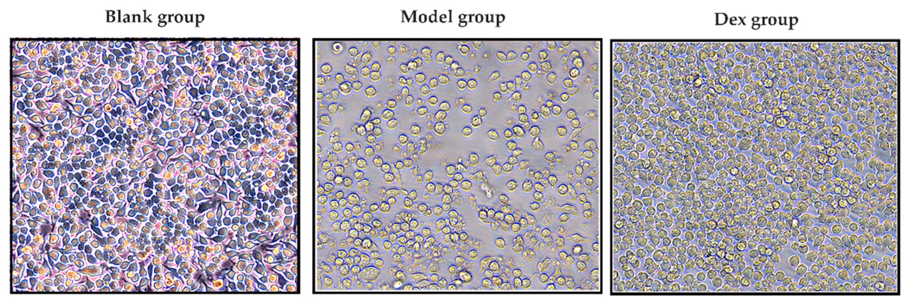 Antioxidants 12 00664 g005