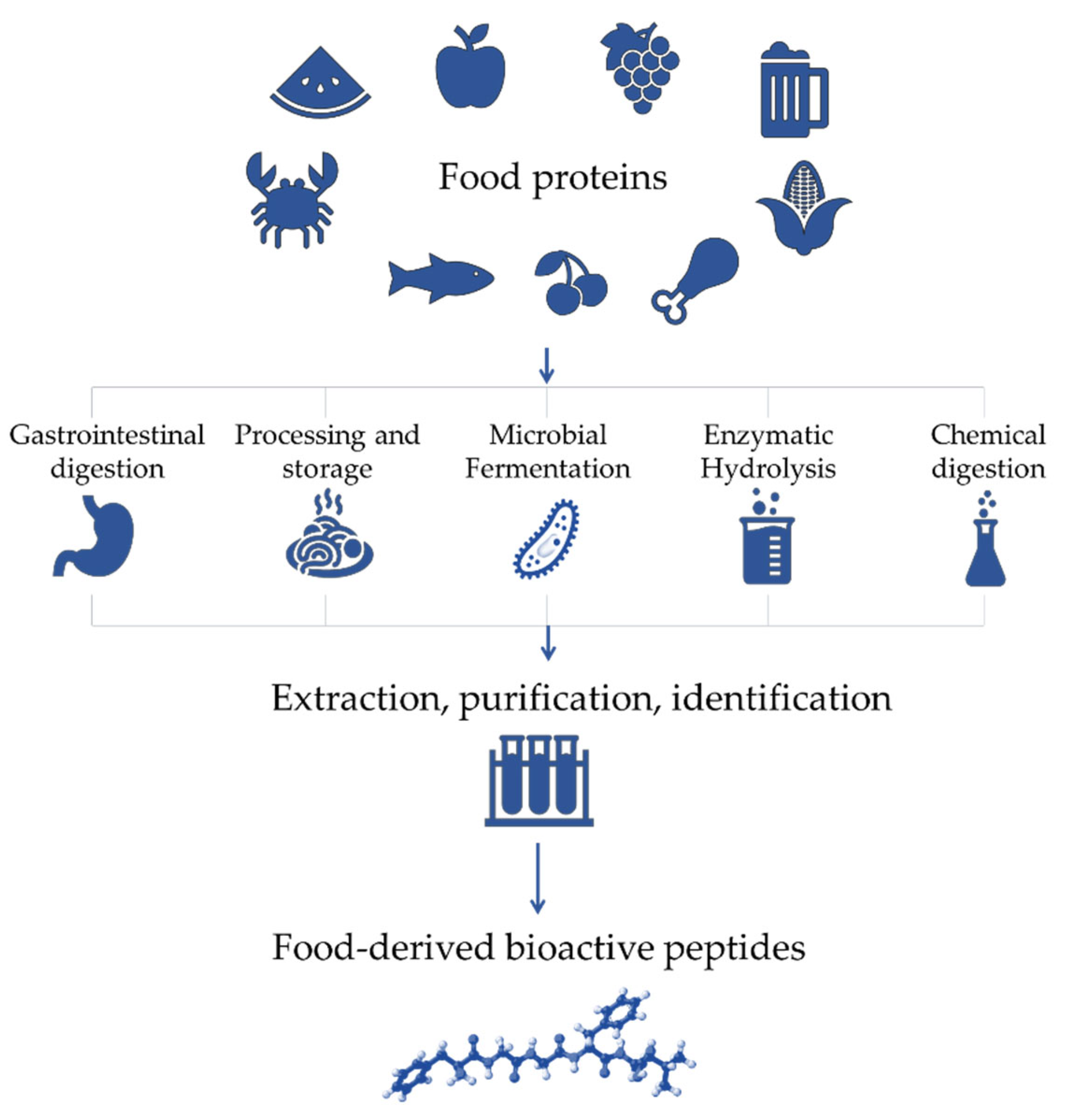 Antioxidants 12 00665 g001