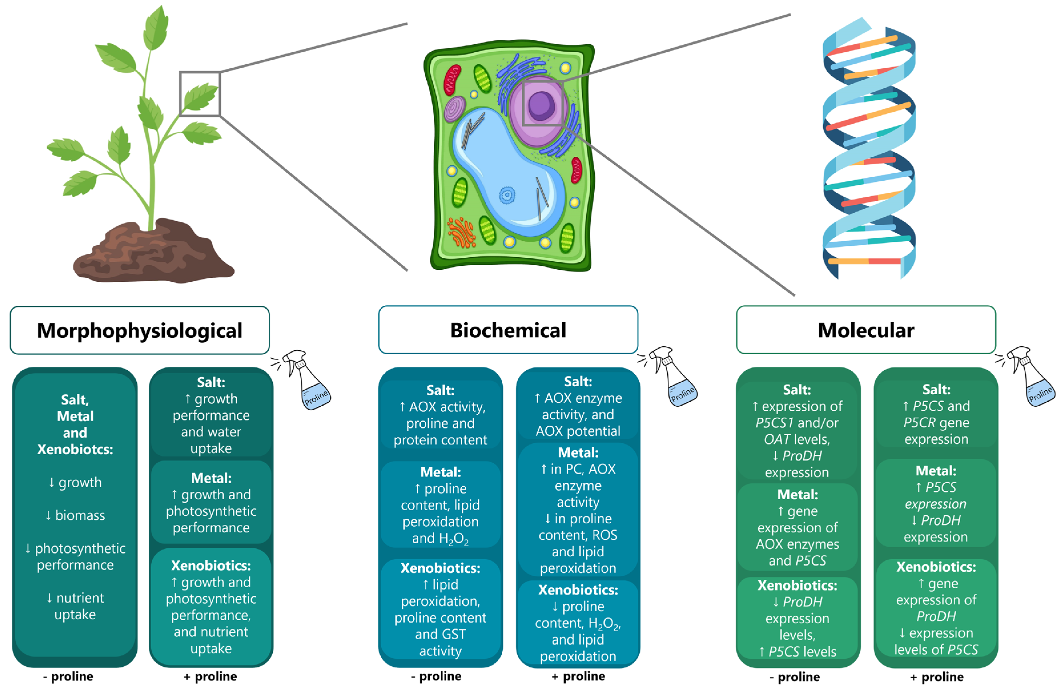 Antioxidants 12 00666 g002 Antioxidants 12 00666 g002