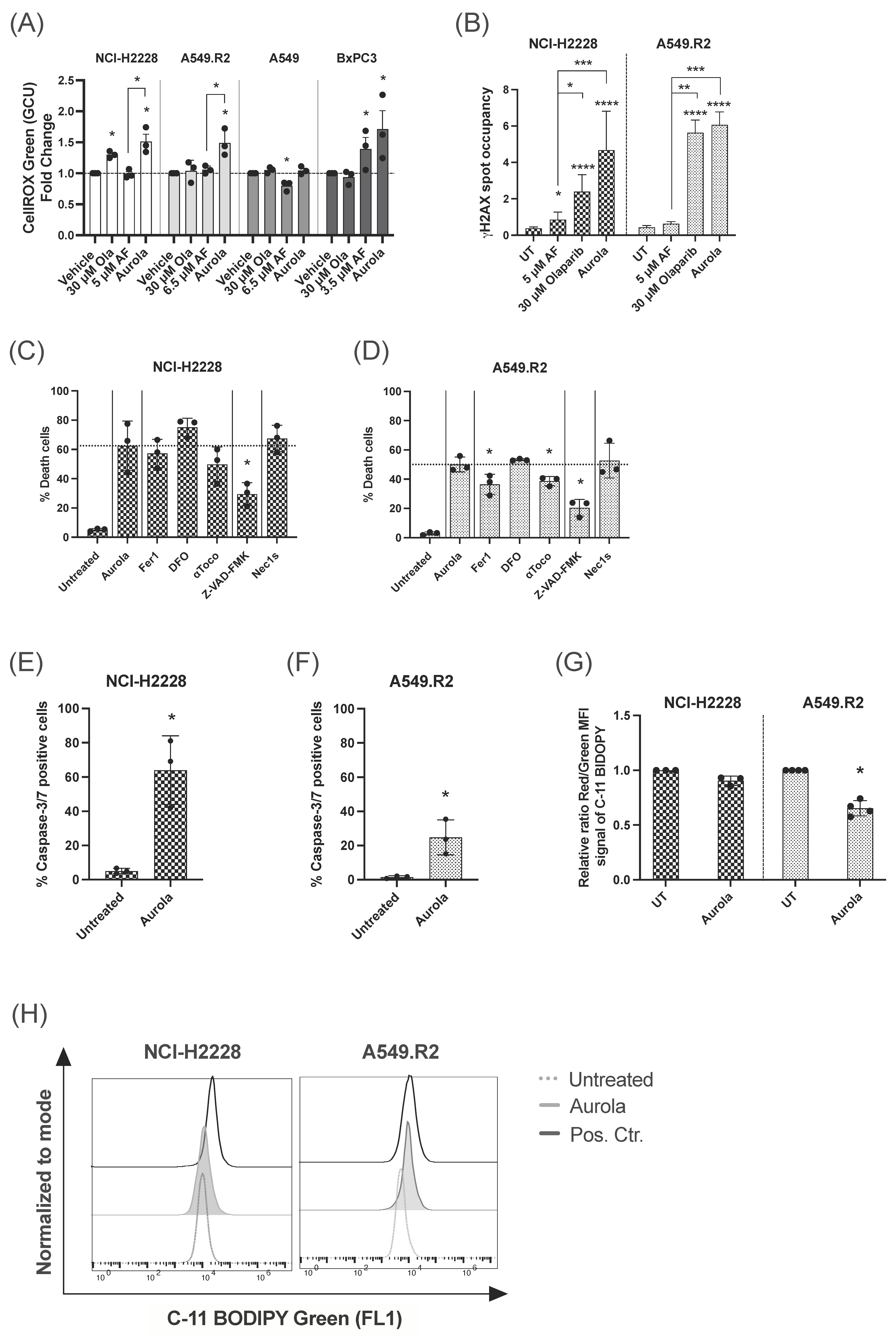 Antioxidants 12 00667 g003 Antioxidants 12 00667 g003