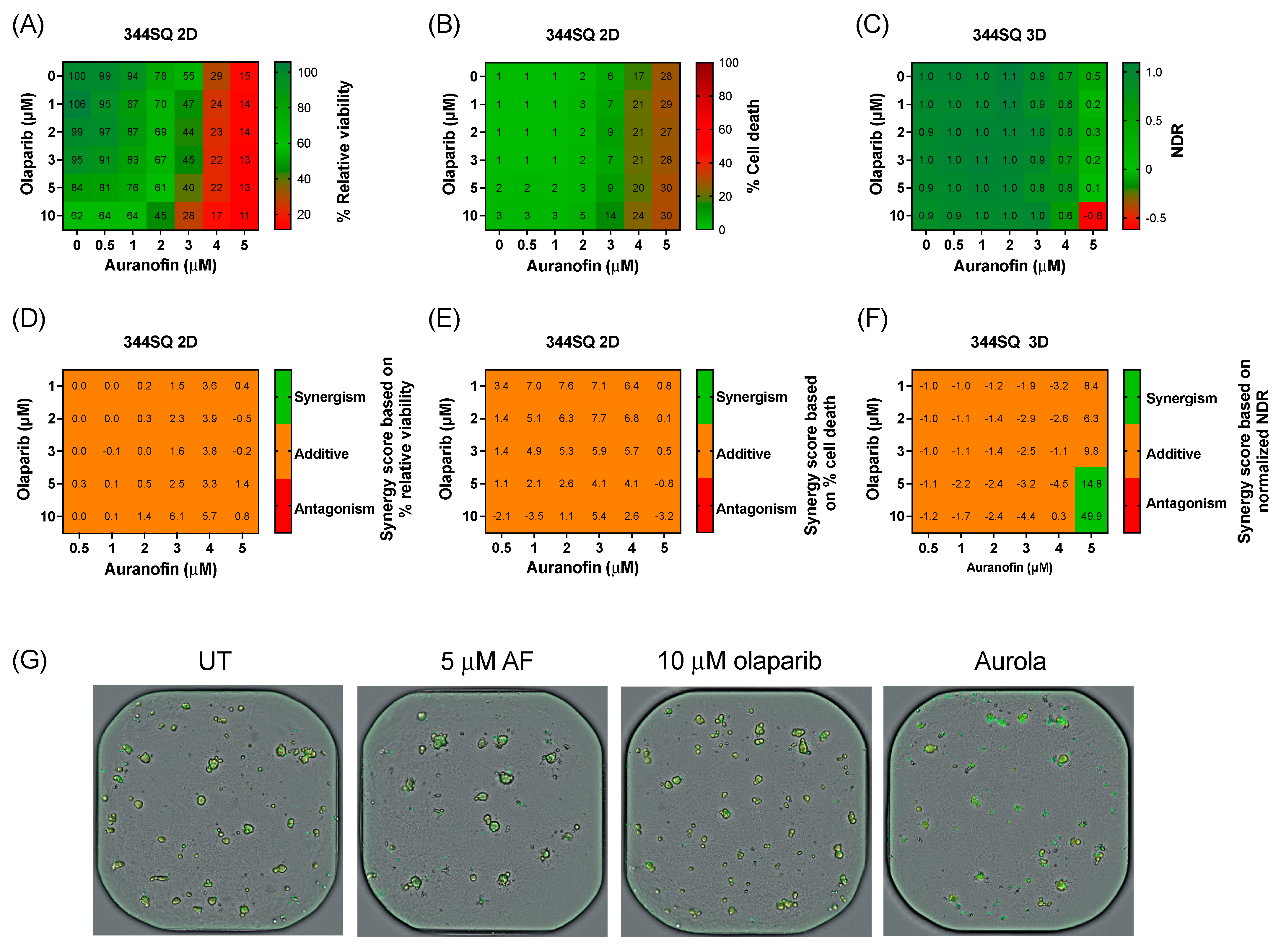 Antioxidants 12 00667 g004 Antioxidants 12 00667 g004