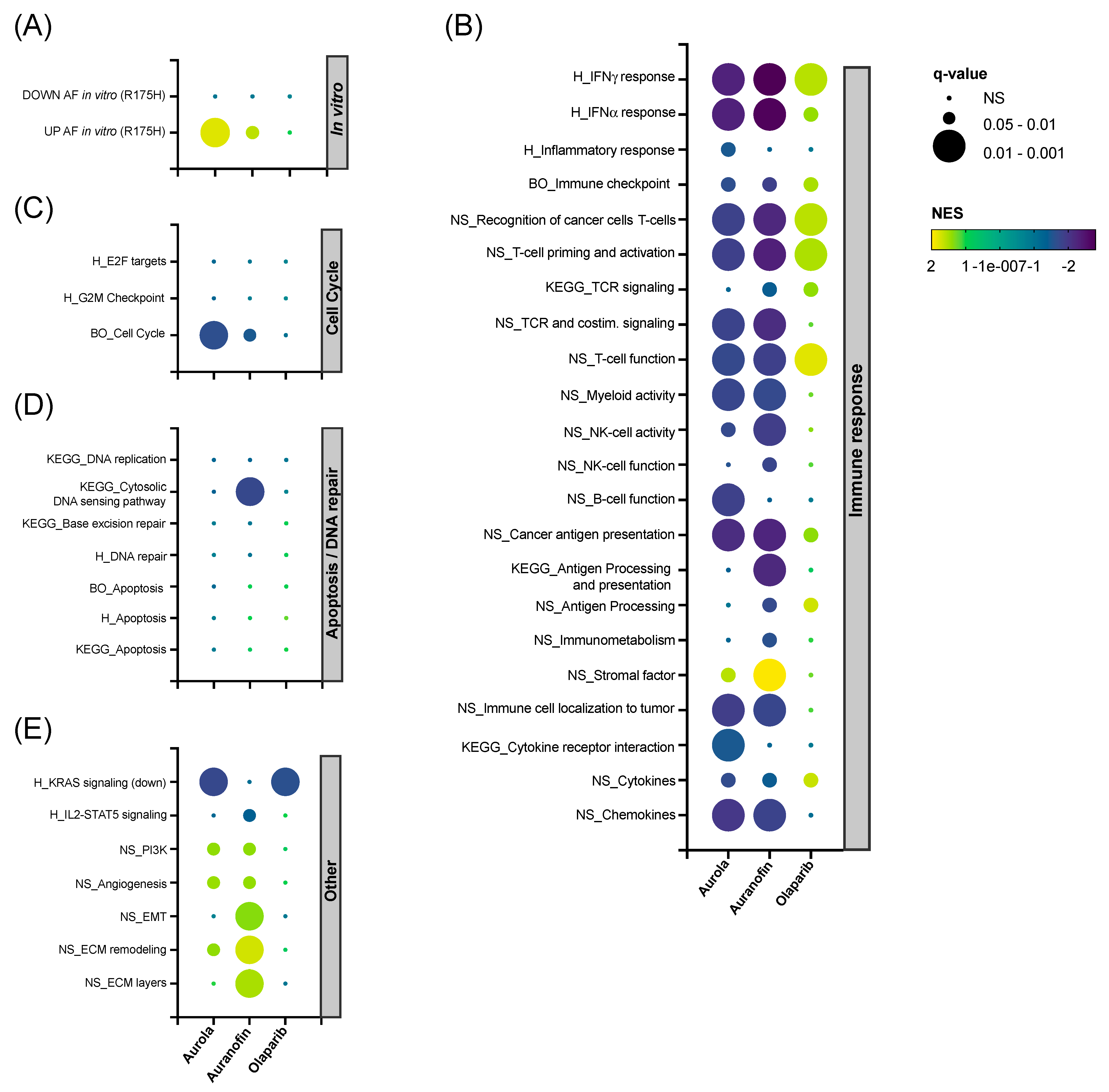 Antioxidants 12 00667 g006 Antioxidants 12 00667 g006