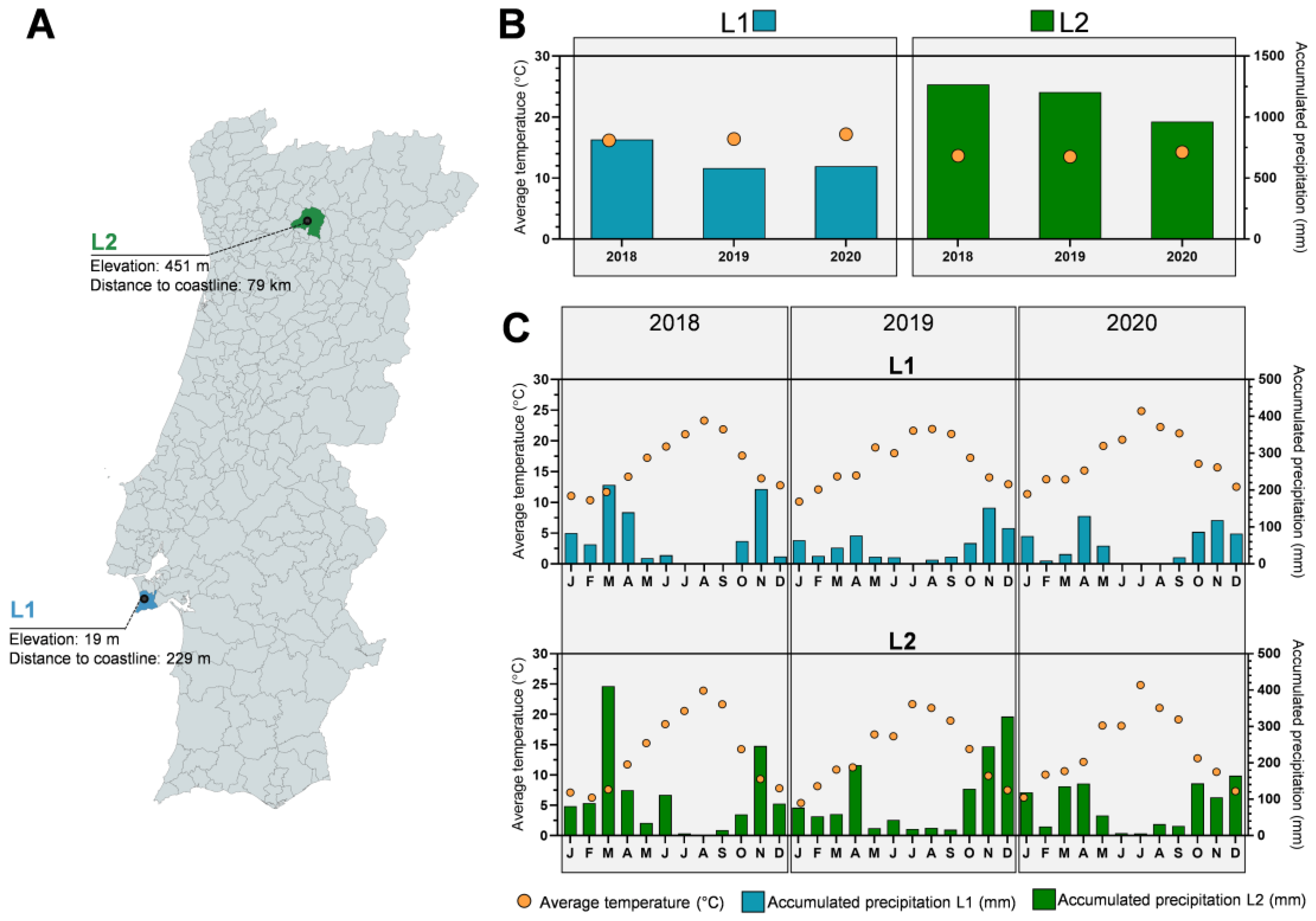 Antioxidants 12 00668 g001
