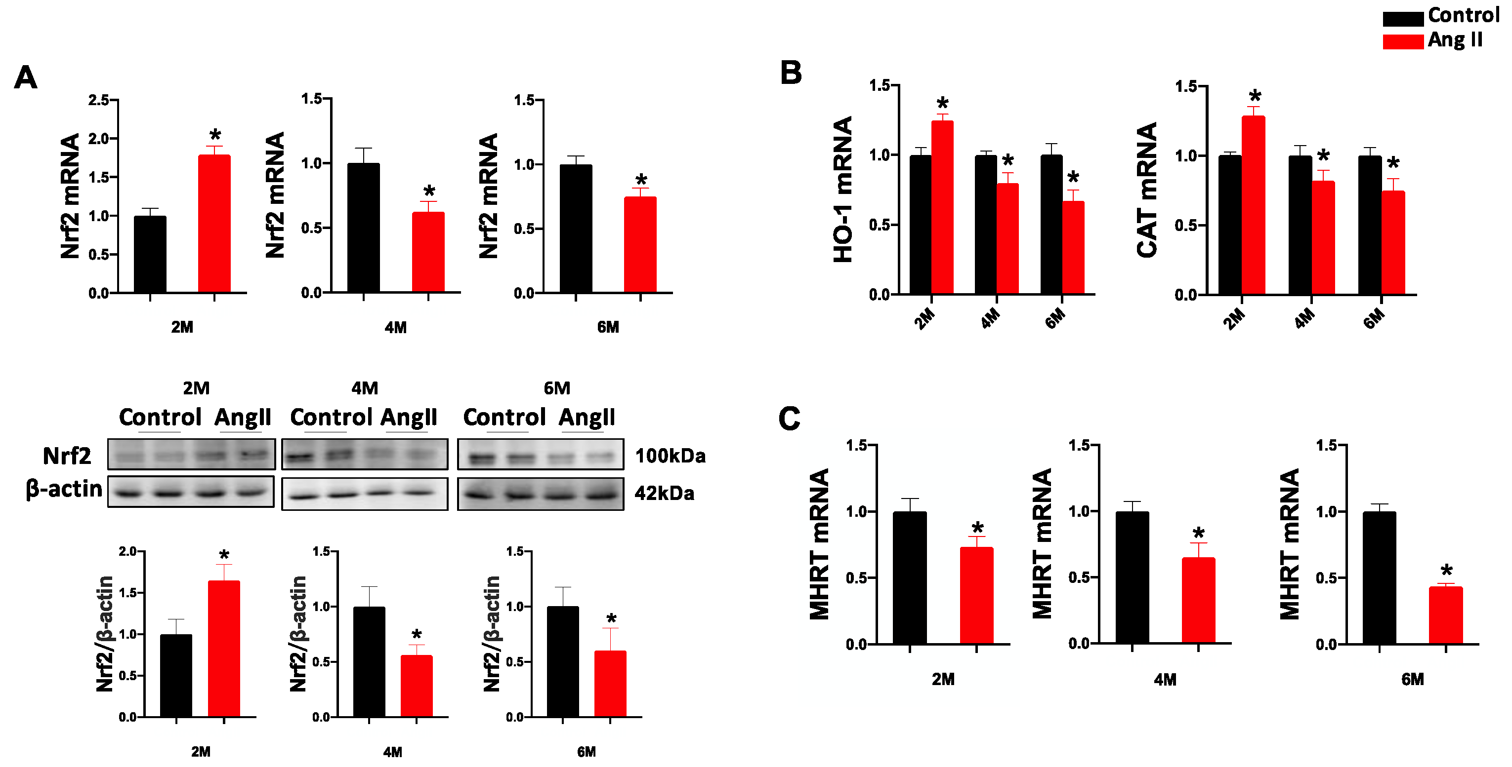 Antioxidants 12 00672 g003