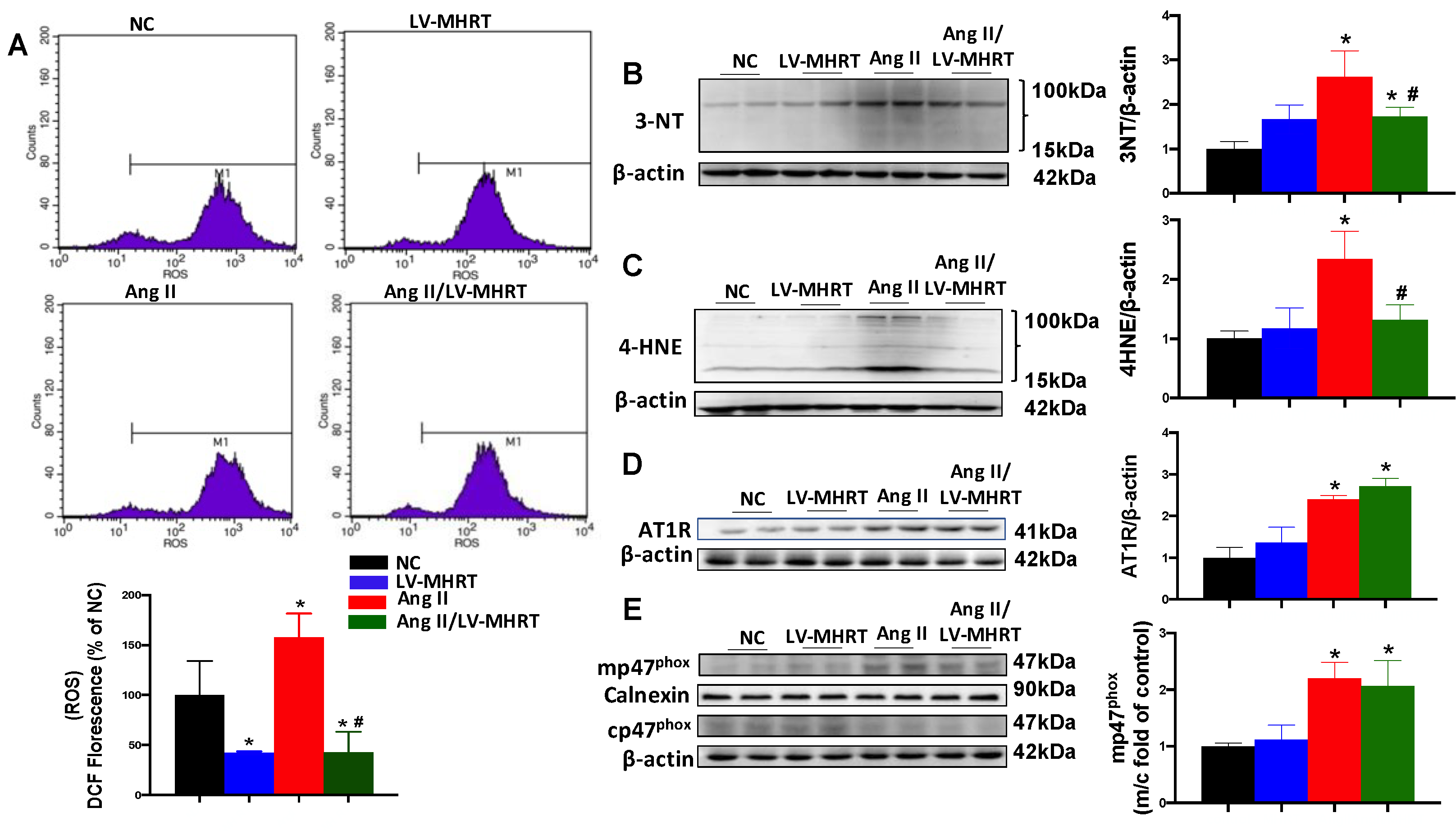 Antioxidants 12 00672 g005