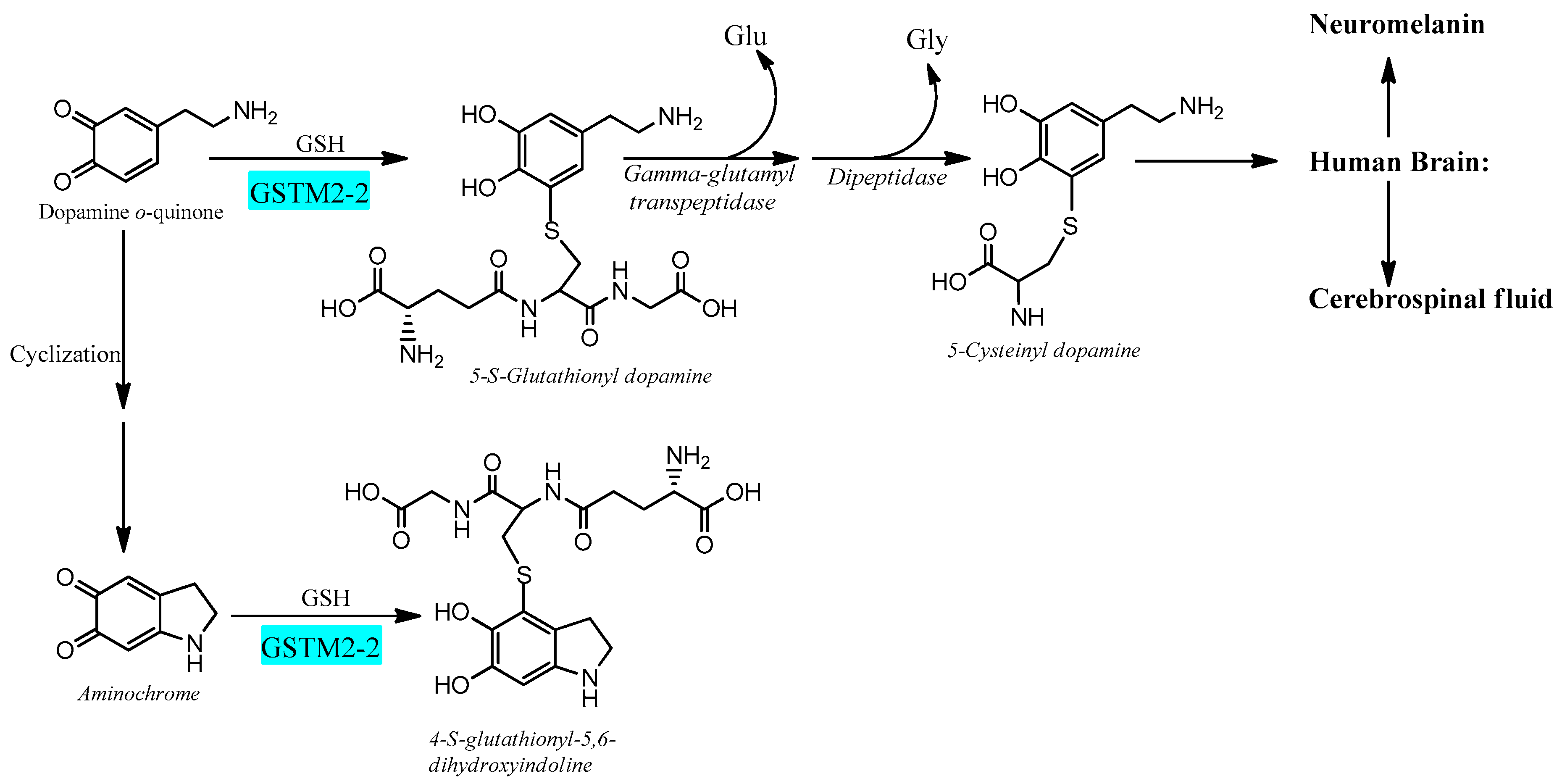 Antioxidants 12 00673 g003