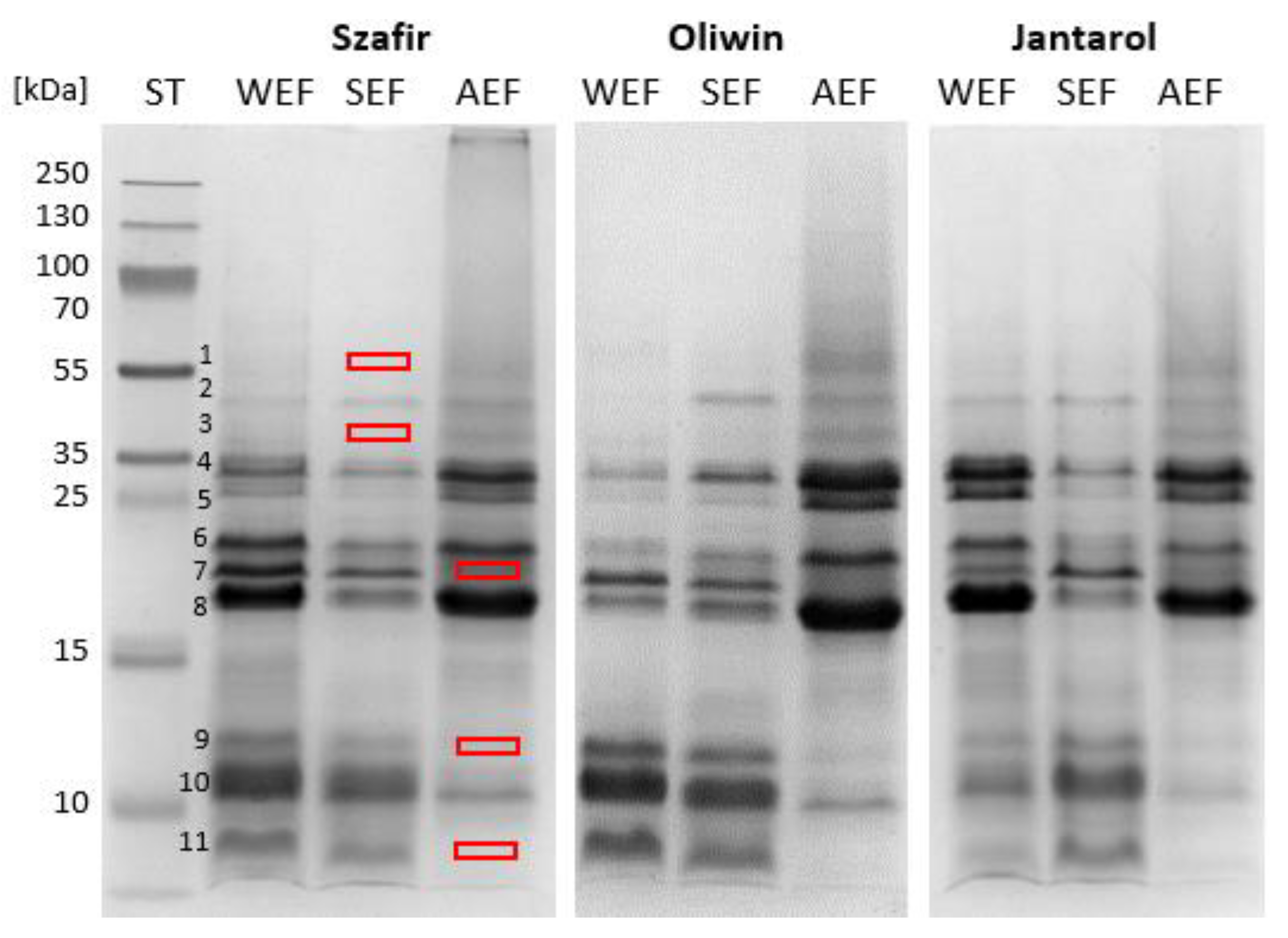 Antioxidants 12 00675 g002