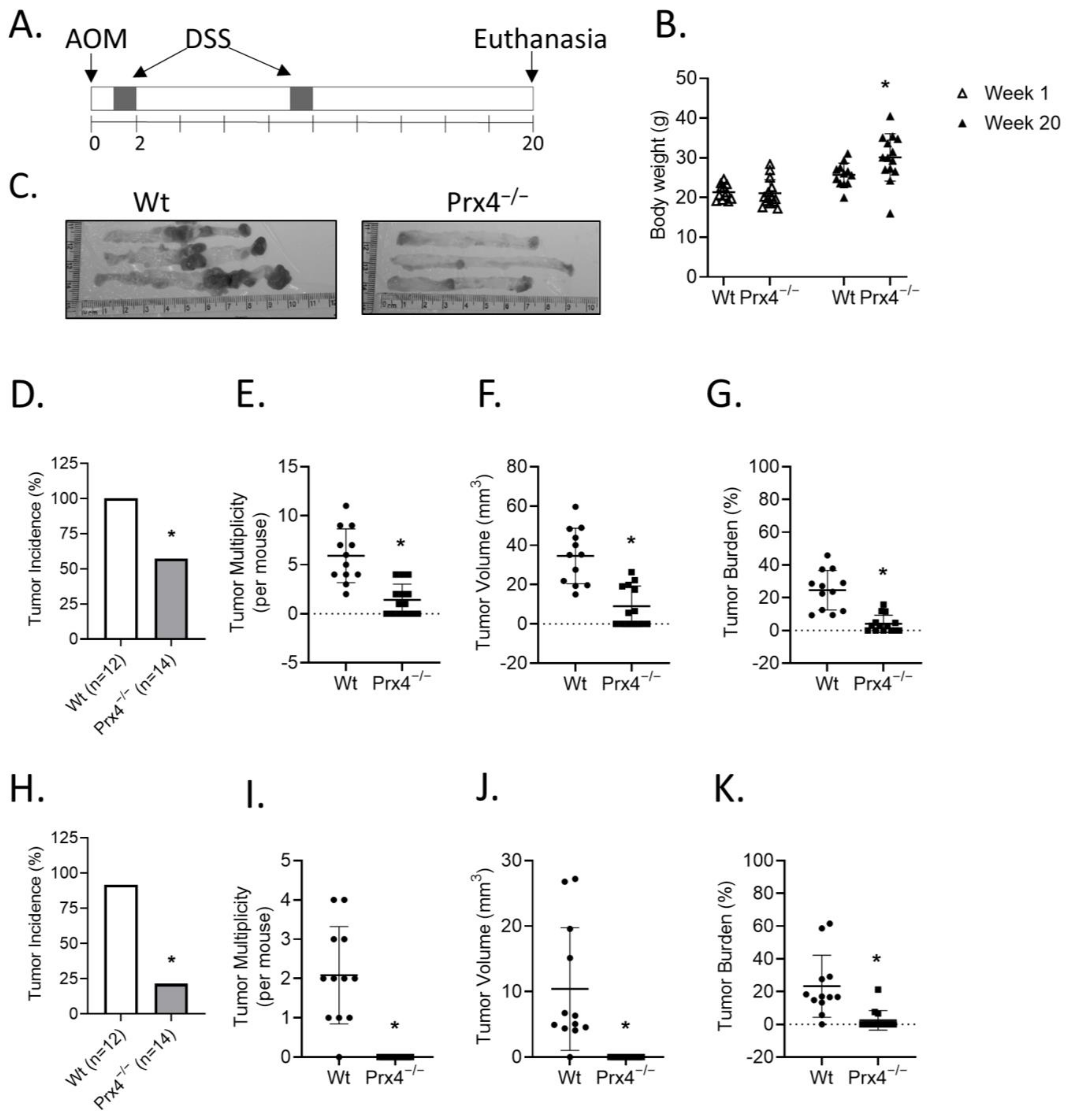 Antioxidants 12 00677 g002 Antioxidants 12 00677 g002