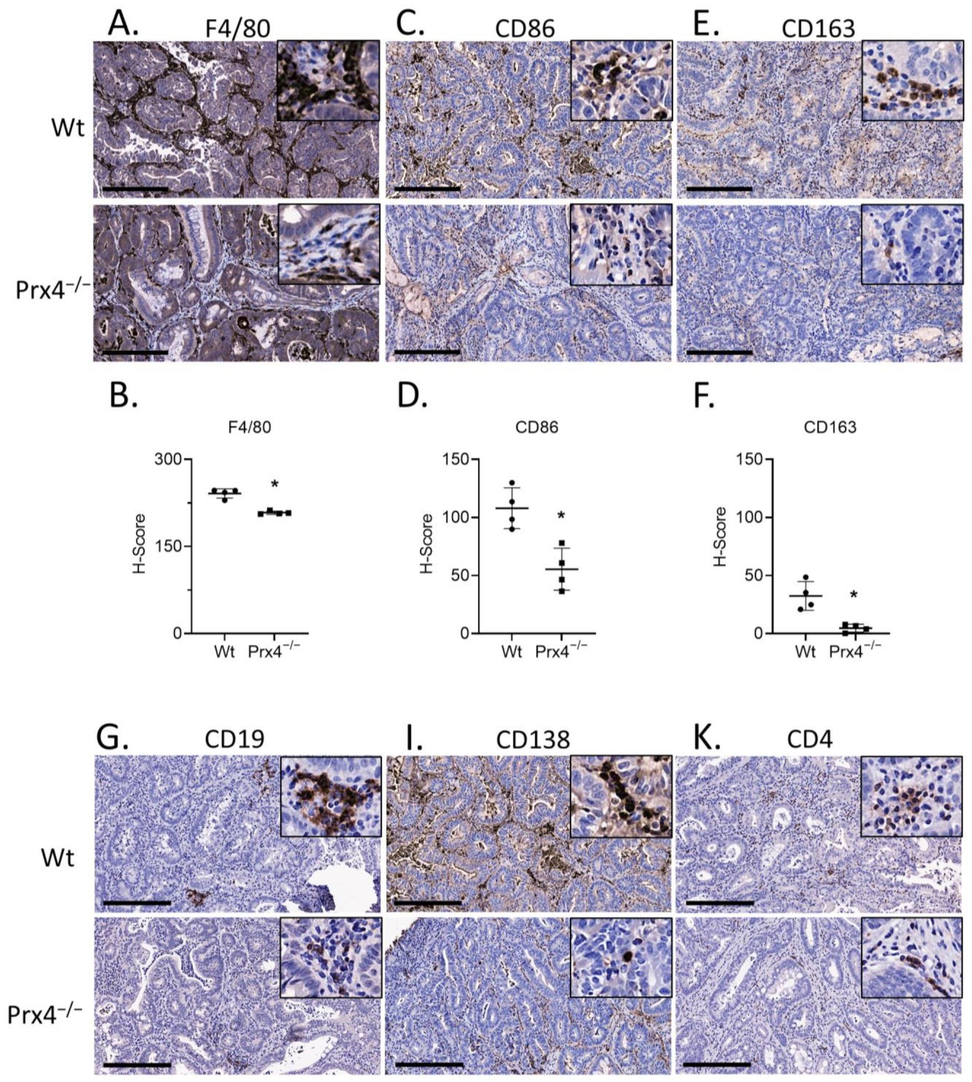 Antioxidants 12 00677 g004a Antioxidants 12 00677 g004a
