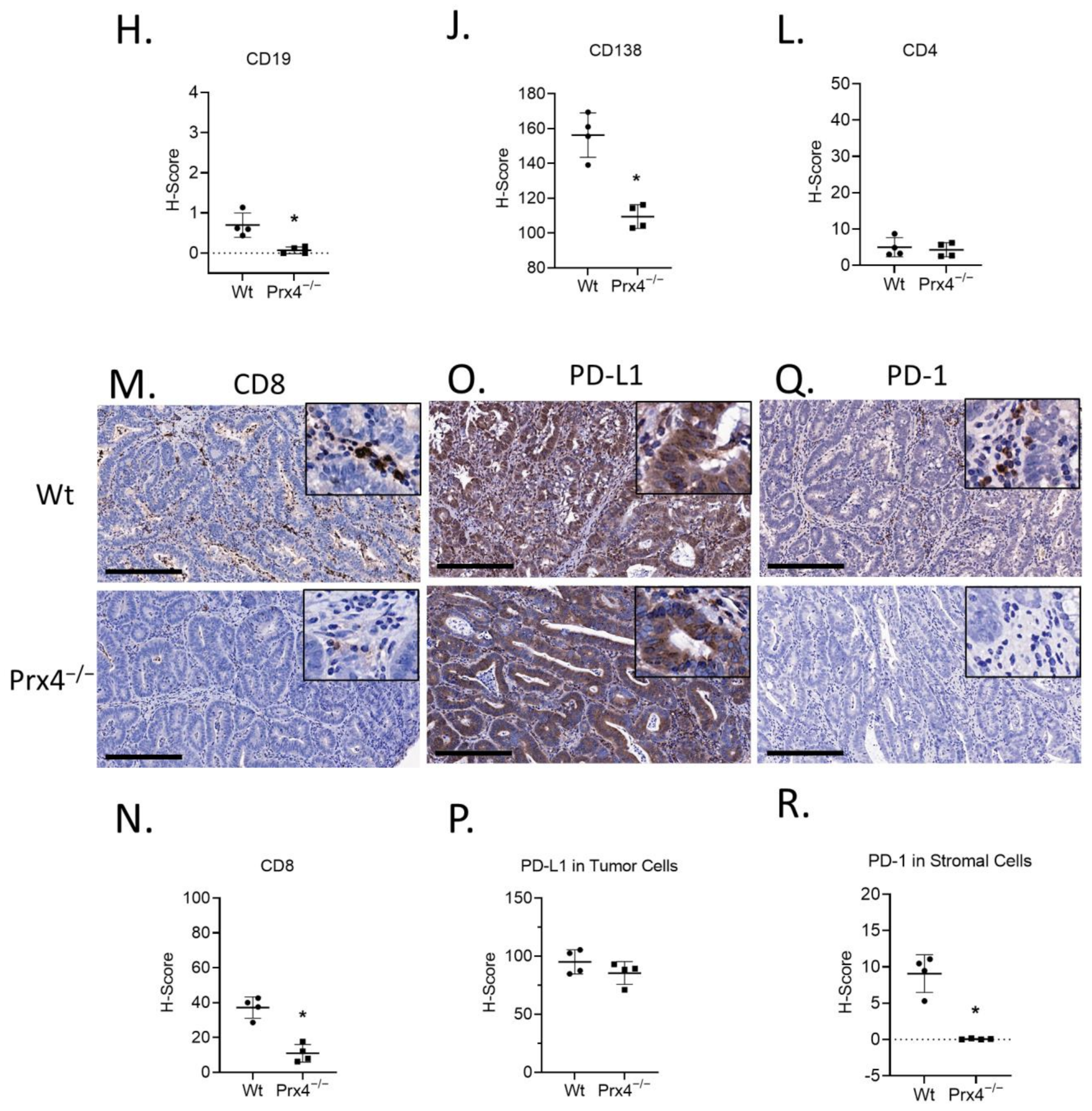 Antioxidants 12 00677 g004b Antioxidants 12 00677 g004b