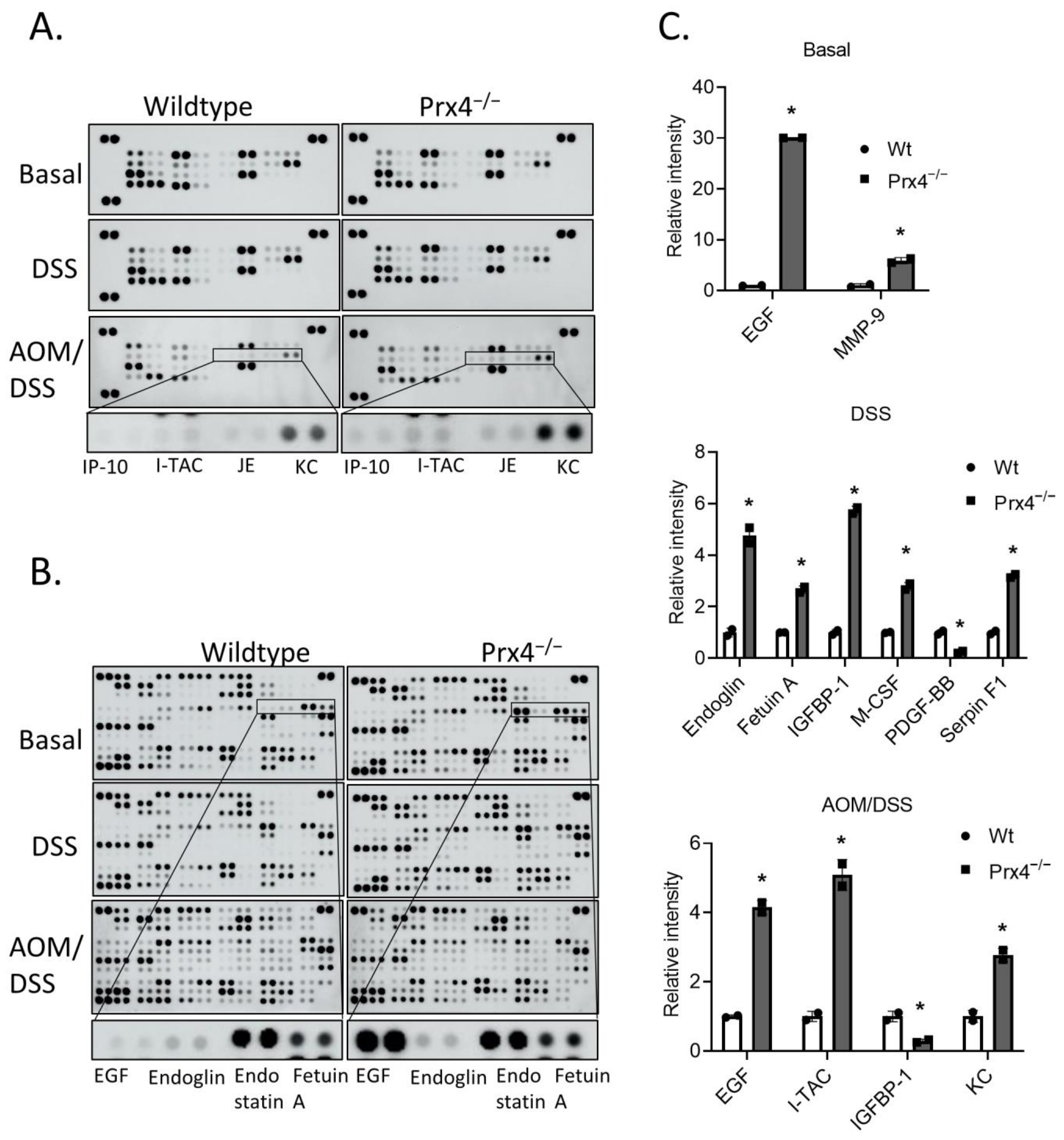 Antioxidants 12 00677 g006 Antioxidants 12 00677 g006