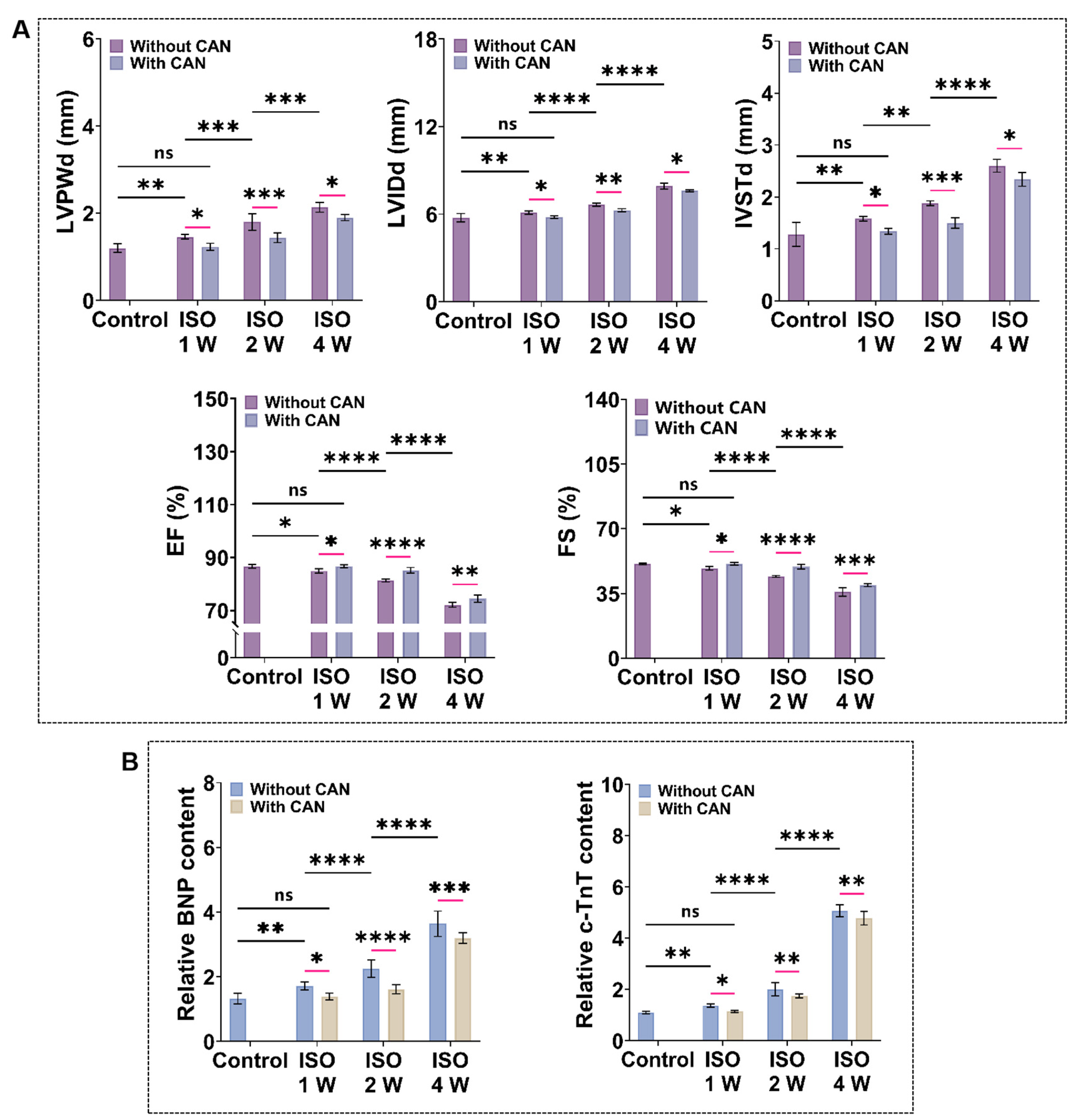 Antioxidants 12 00679 g002 Antioxidants 12 00679 g002