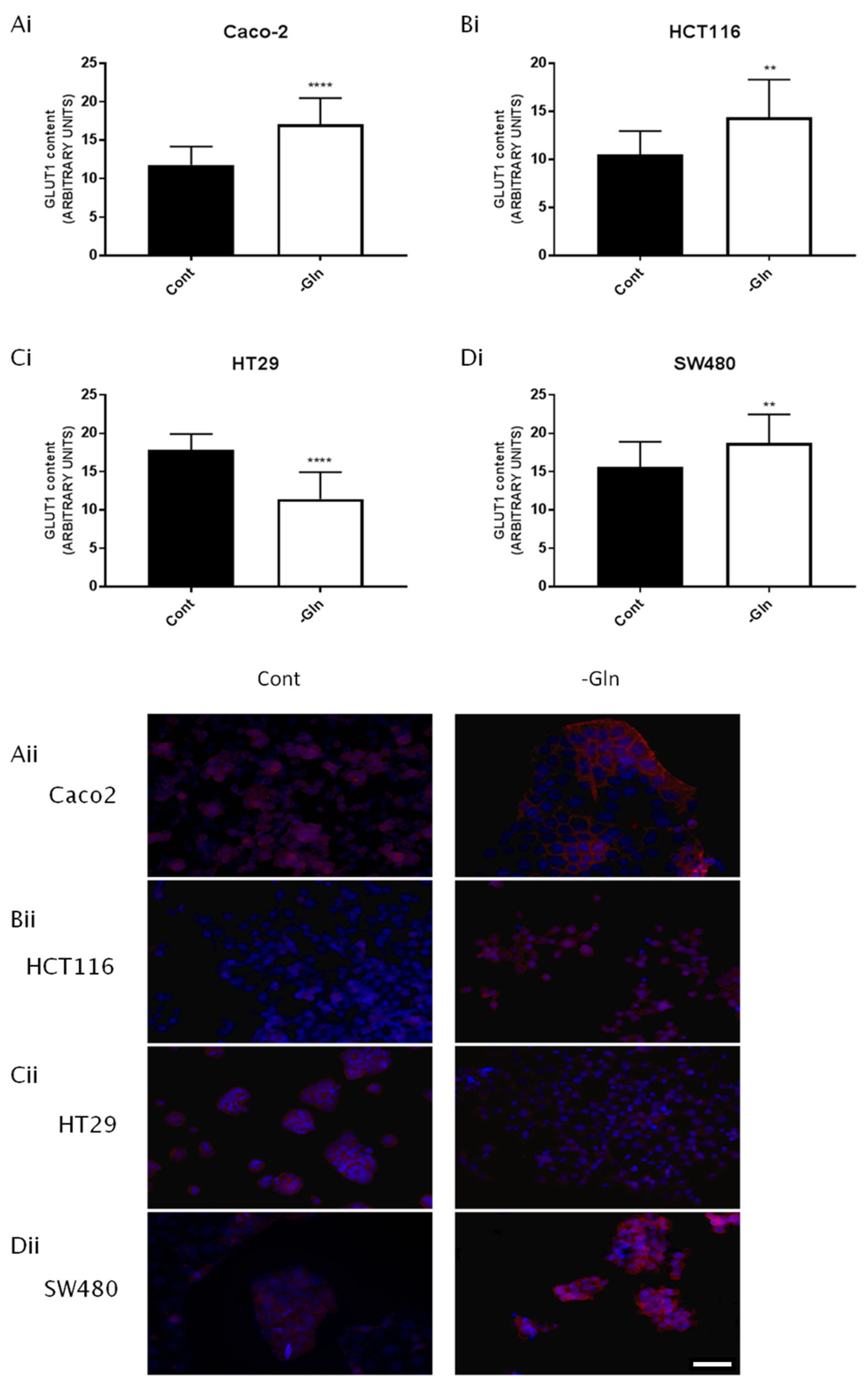 Antioxidants 12 00683 g006 Antioxidants 12 00683 g006