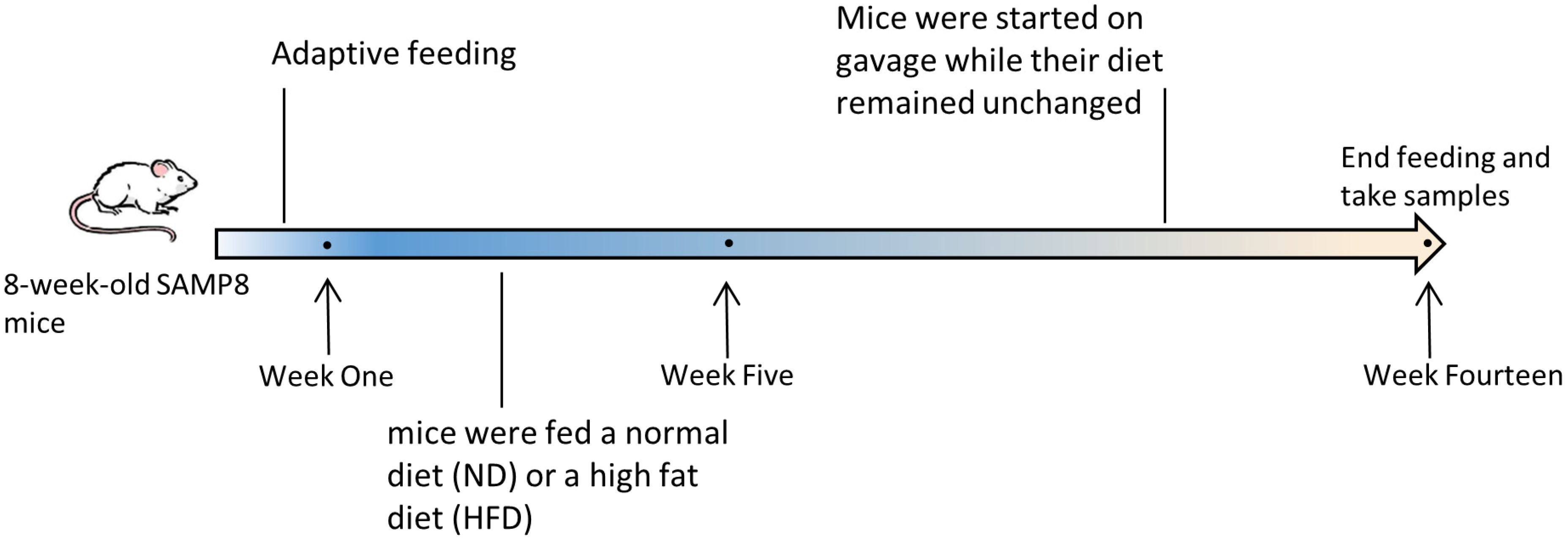 Antioxidants 12 00685 g001