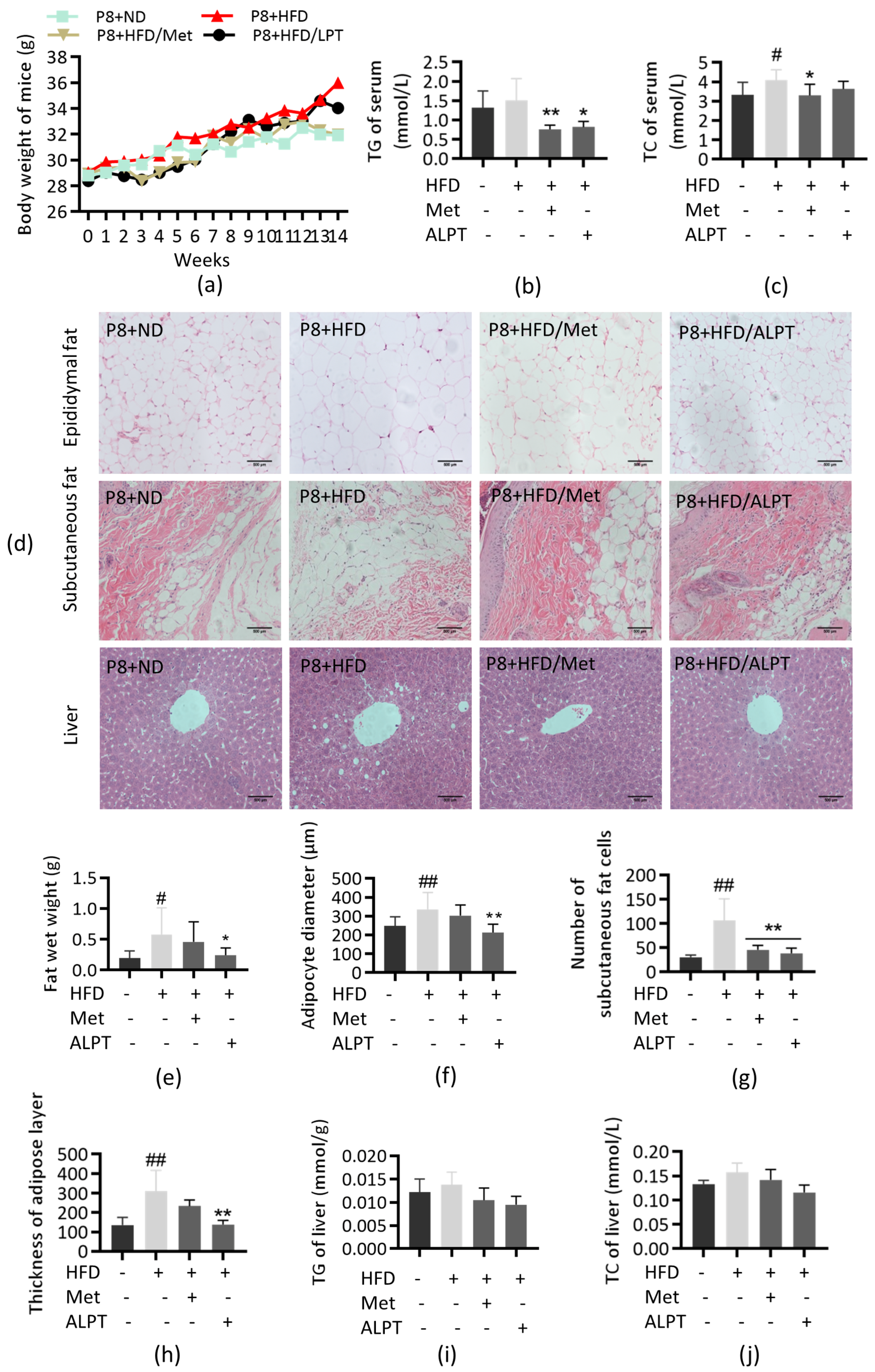 Antioxidants 12 00685 g002