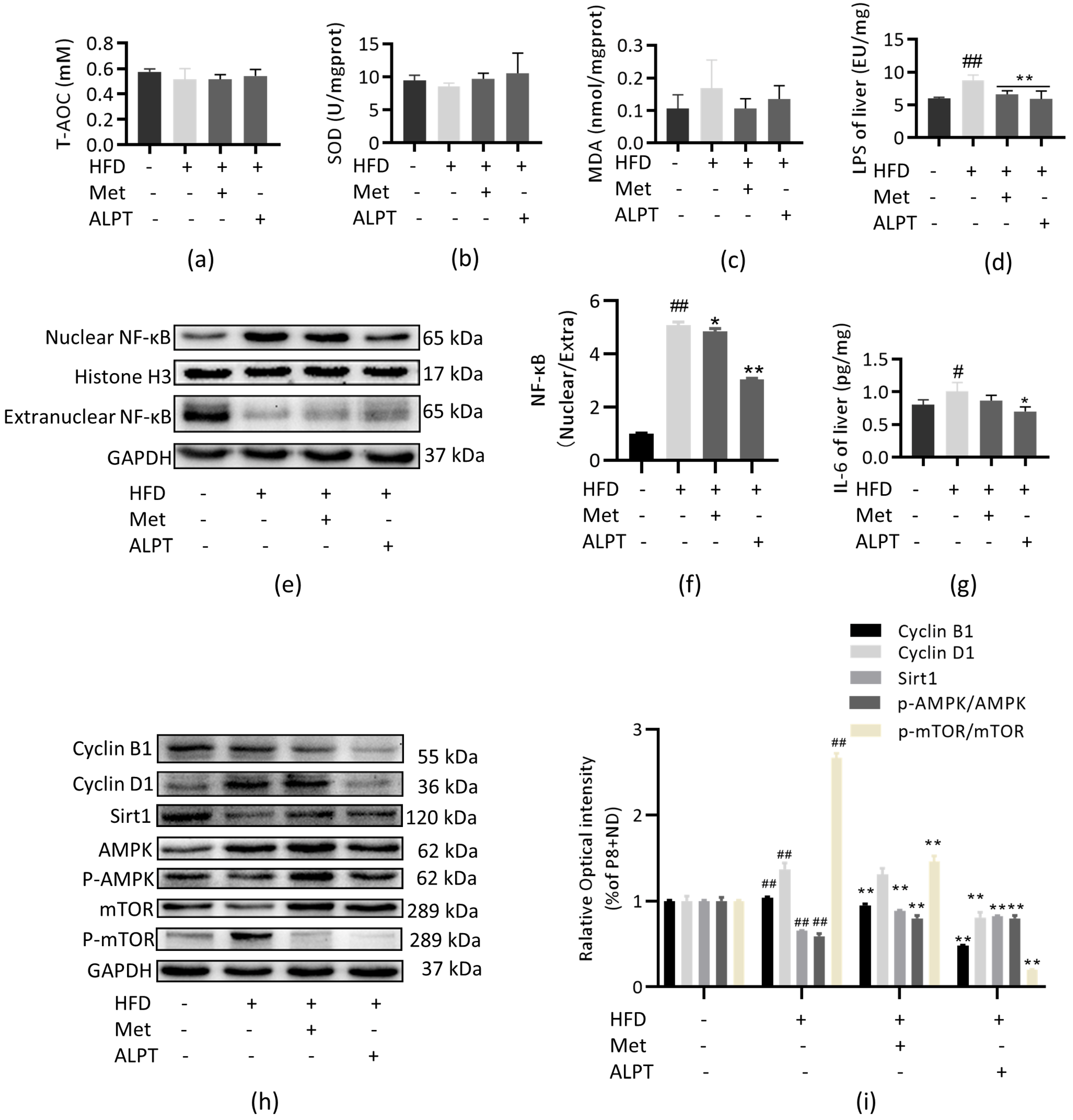 Antioxidants 12 00685 g003