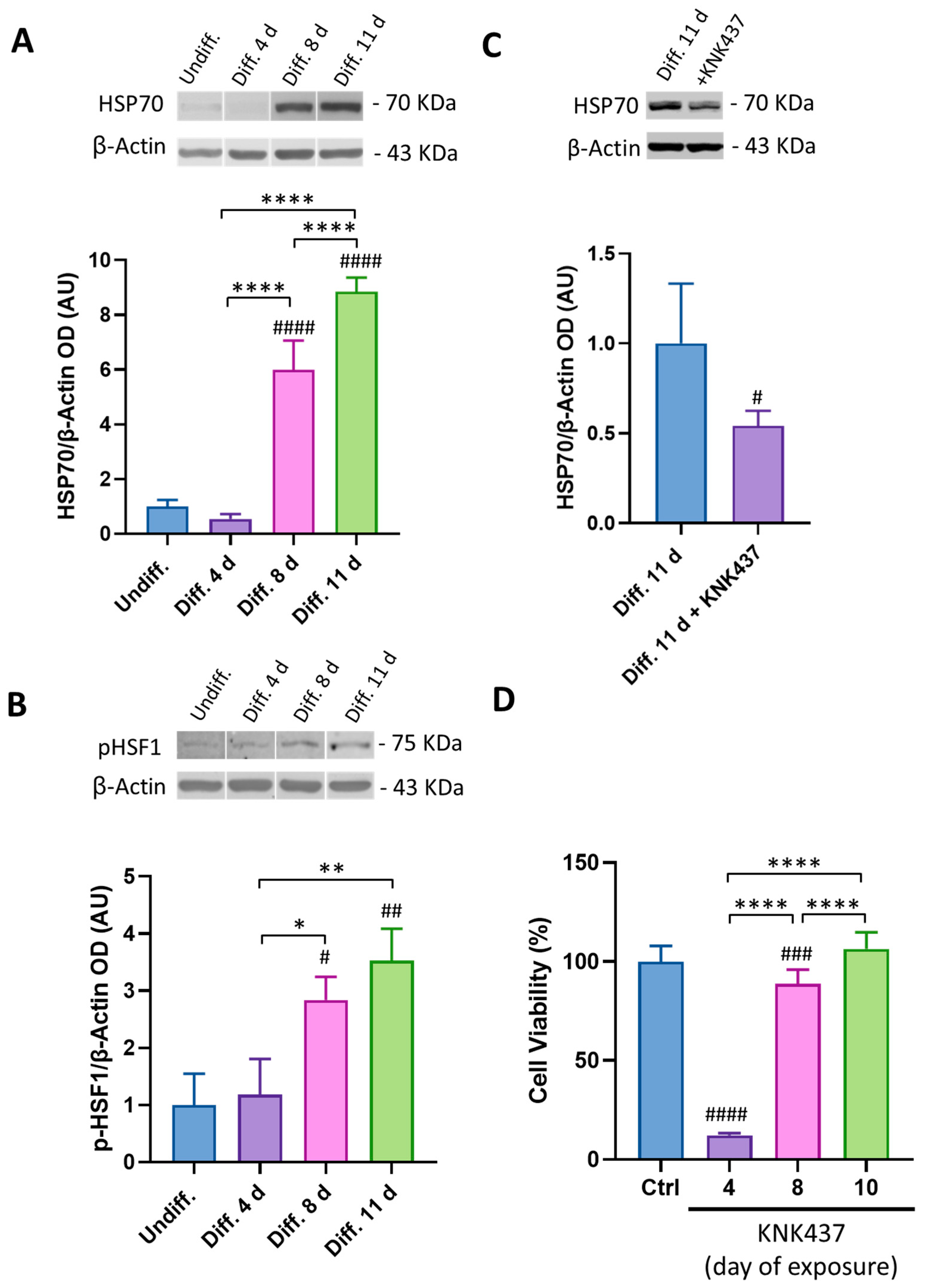 Antioxidants 12 00687 g003