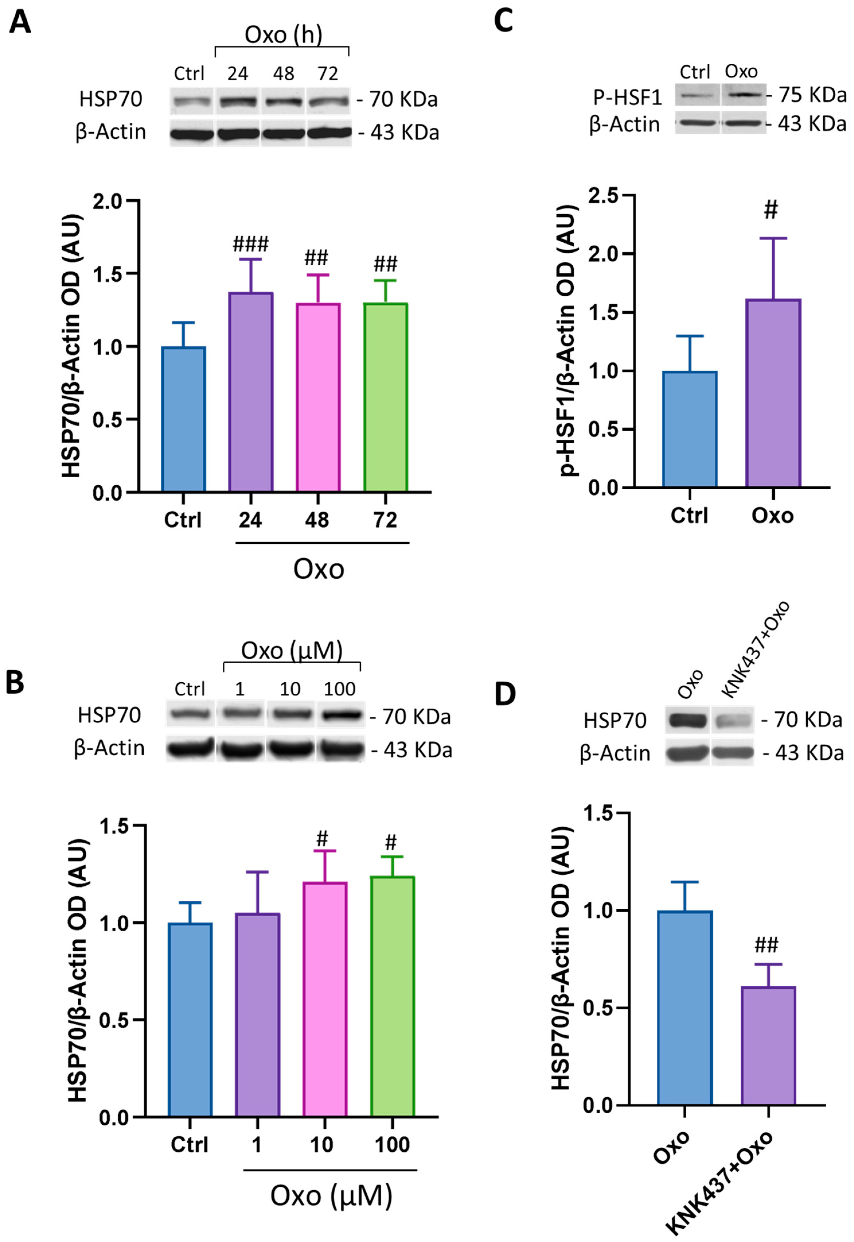 Antioxidants 12 00687 g005